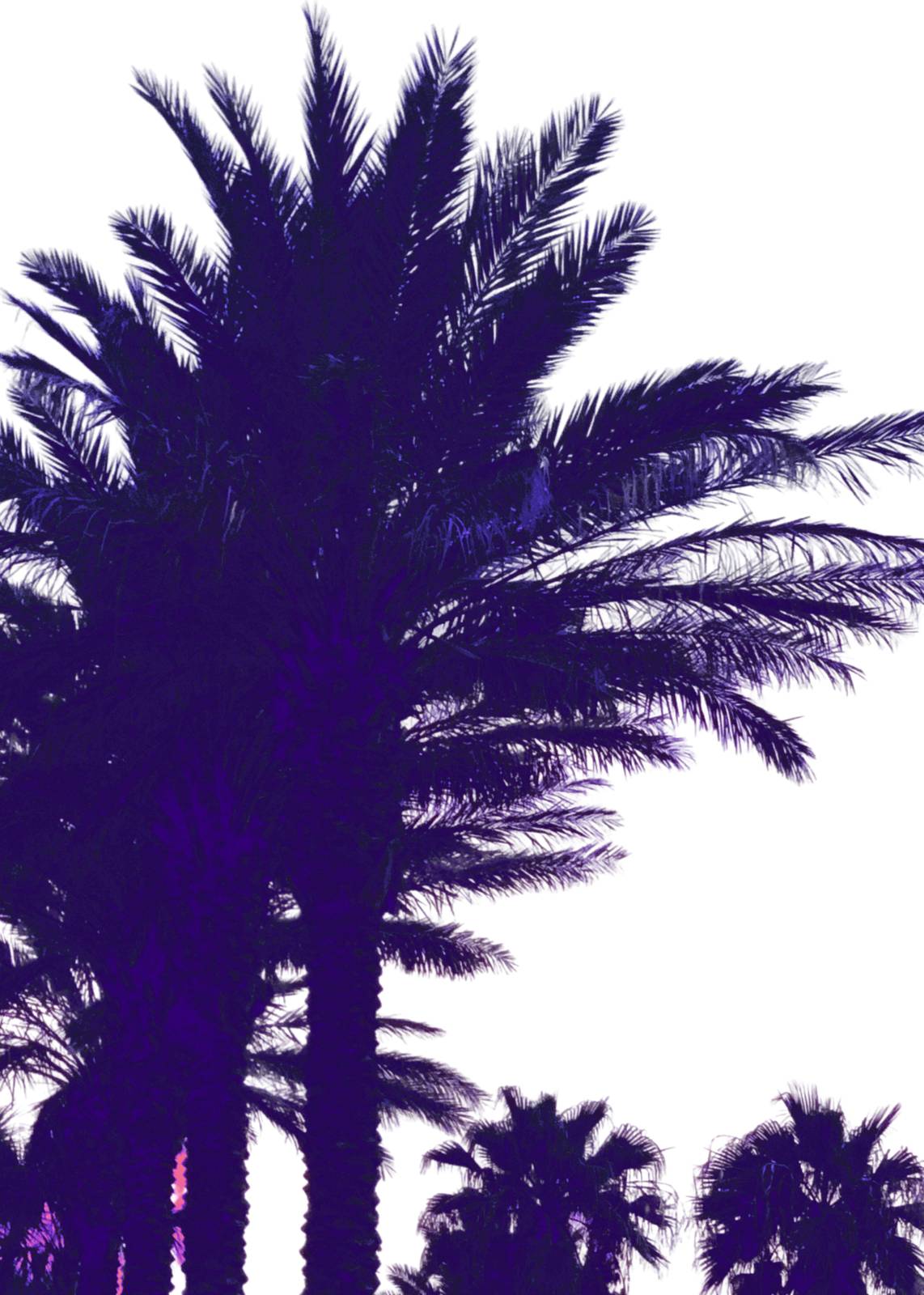 Vibrant Purple Palm Trees Wall Art