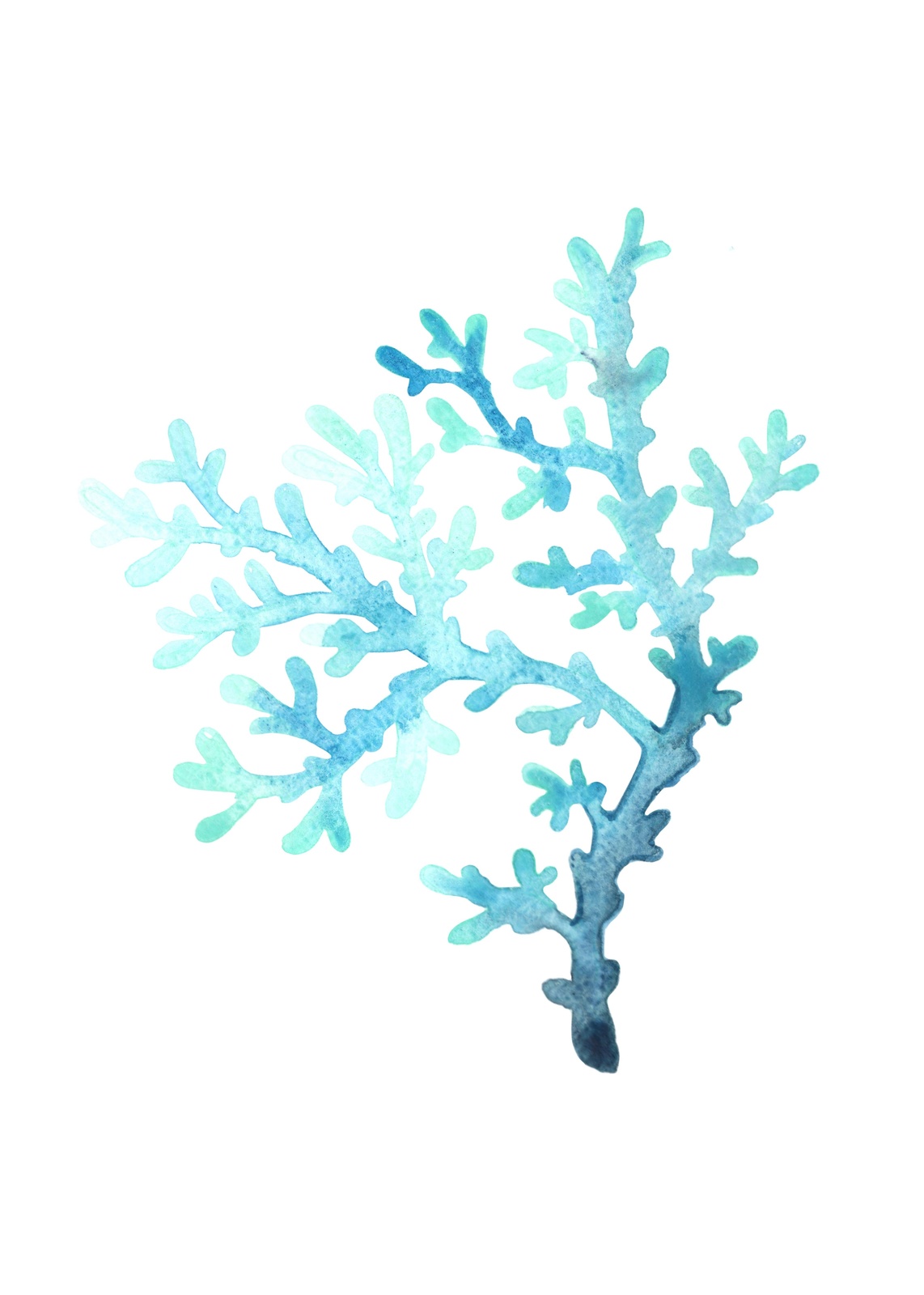 Serene Blue Coral Watercolor Wall Art