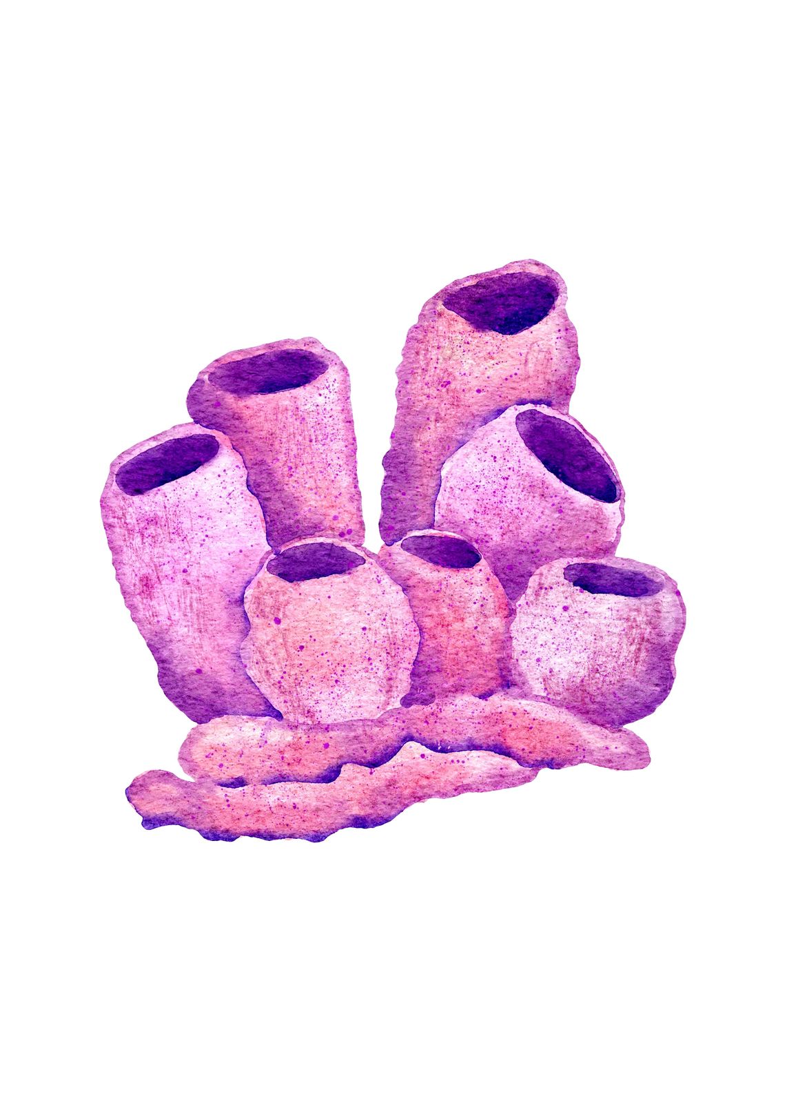 Pink Coral Cluster Watercolor Wall Art