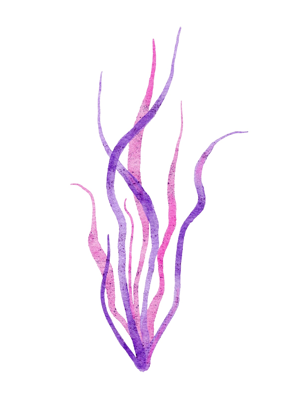 Whimsical Seaweed Watercolor Wall Art
