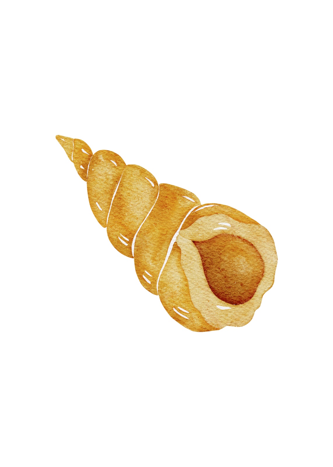 Golden Seashell Watercolor Wall Art
