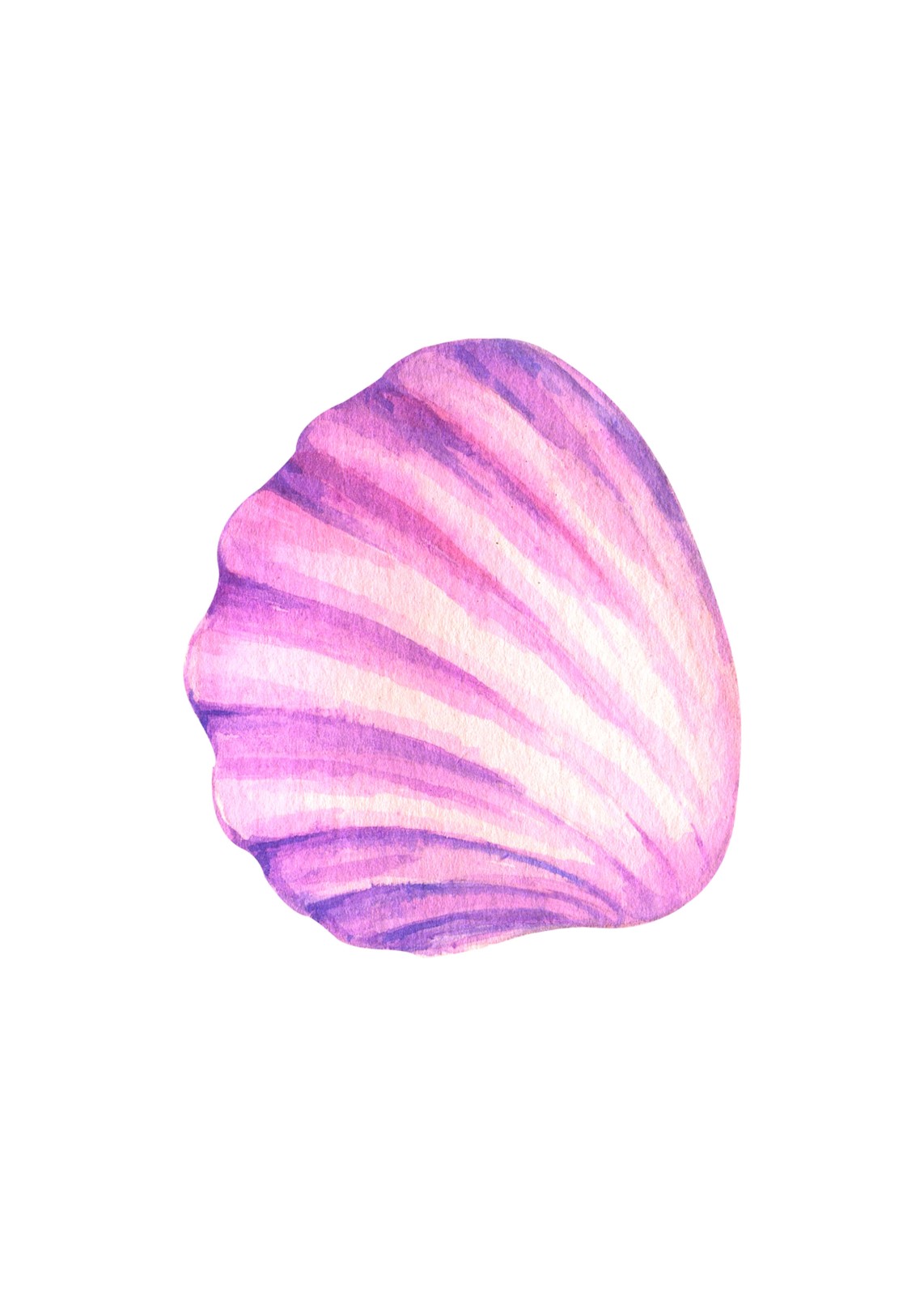 Watercolor Seashell Pink Purple Wall Art