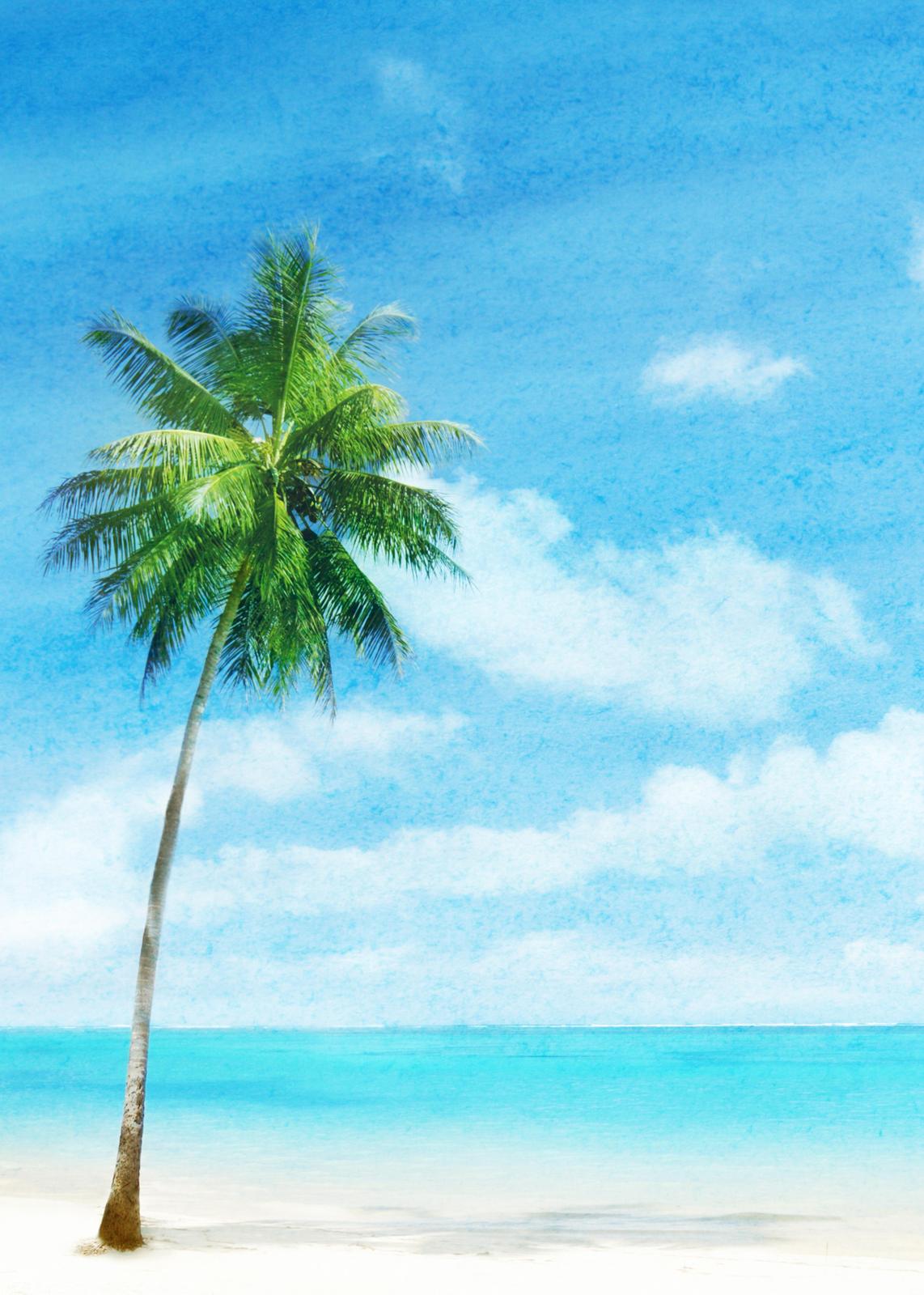 Serene Palm Beach Coastal Wall Art