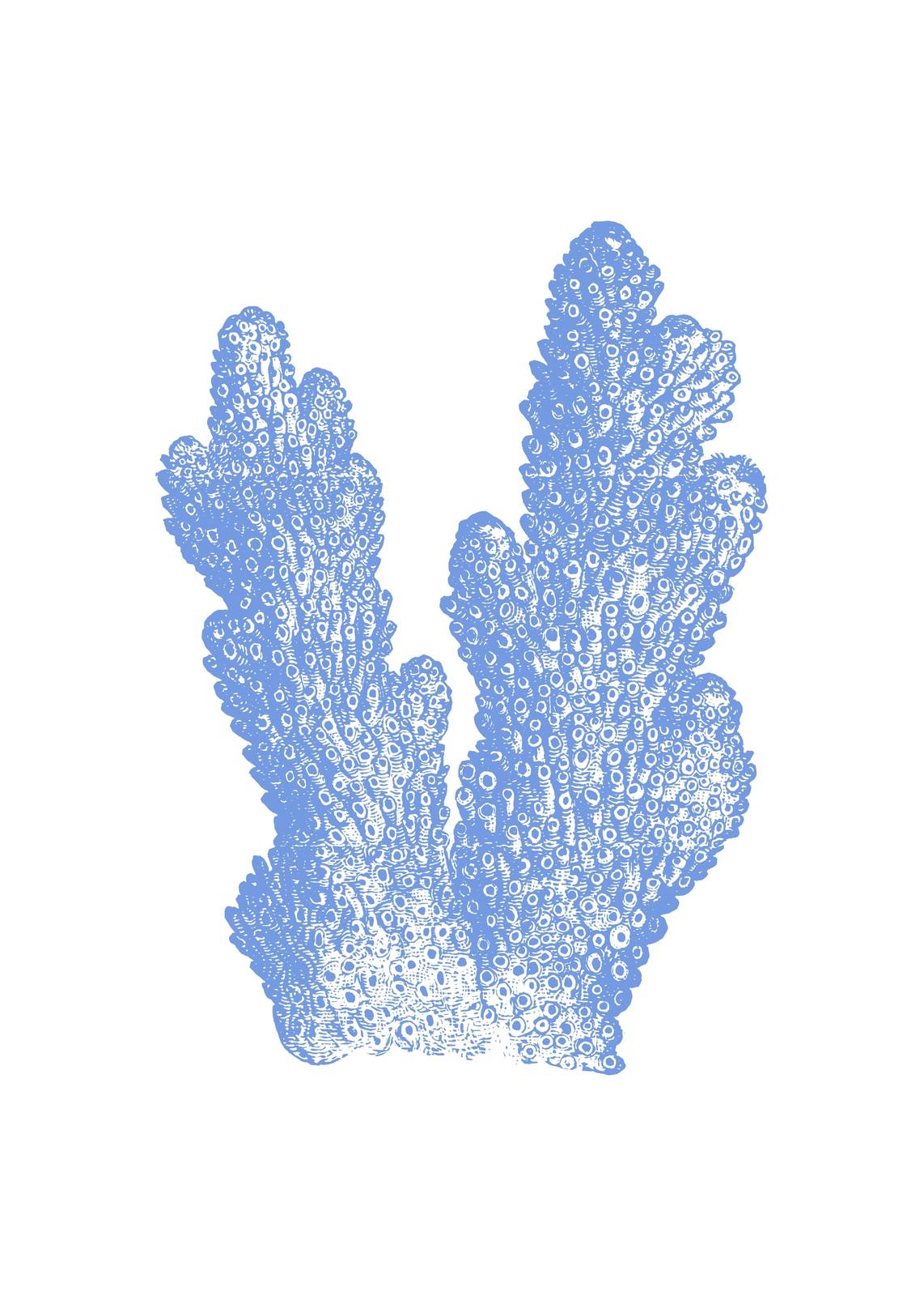 Serene Blue Coral Art Wall Art
