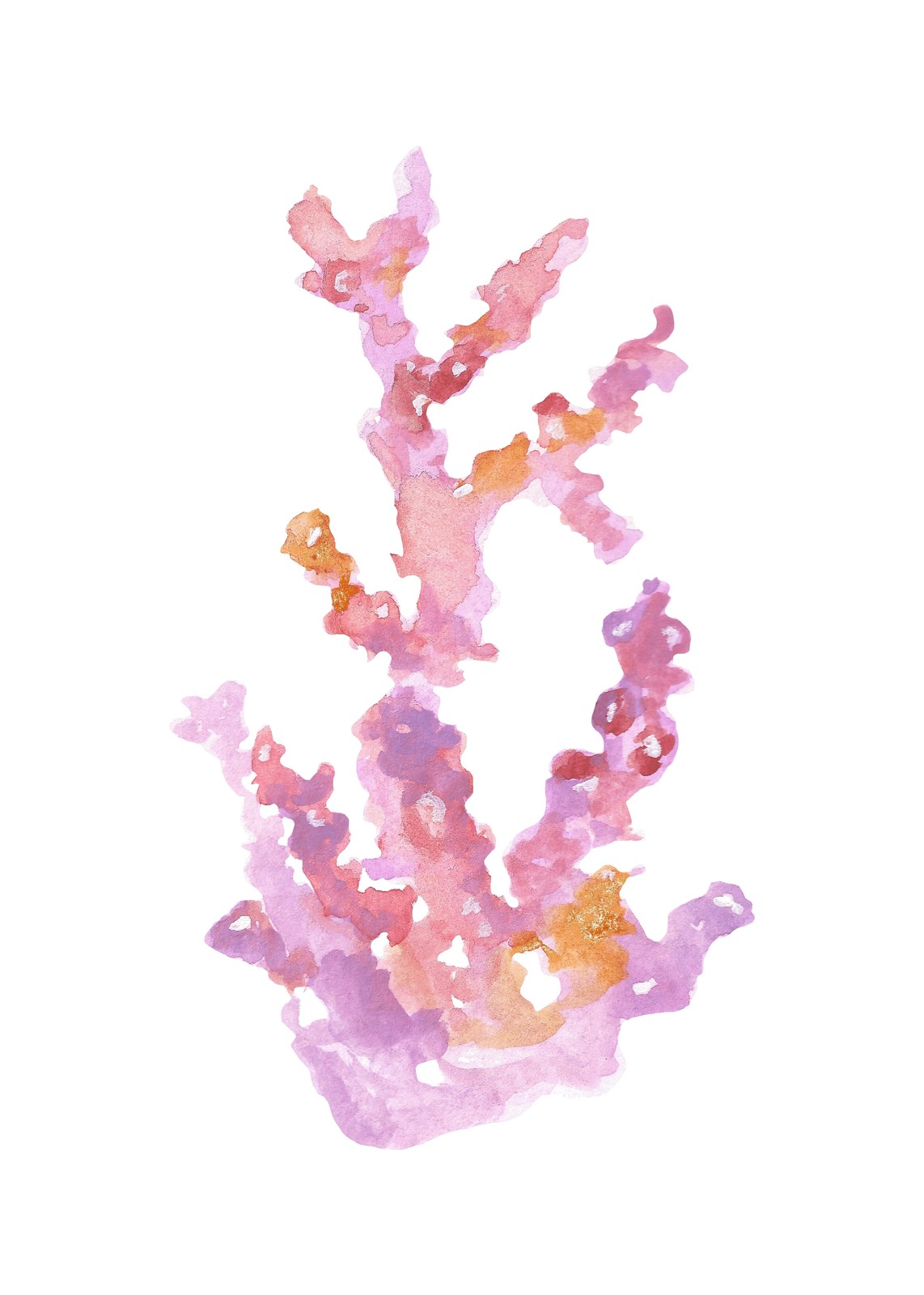Delicate Coral Watercolor Wall Art Wall Art