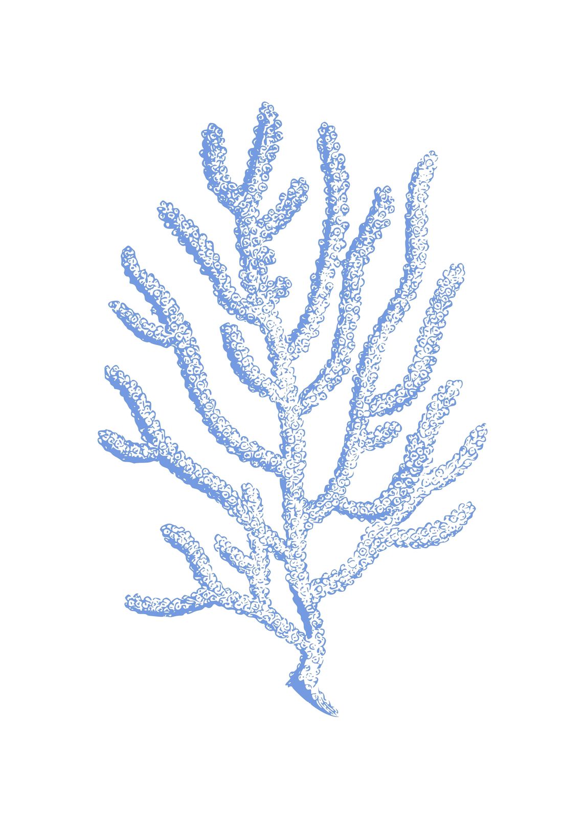 Serene Blue Coral Branch Wall Art