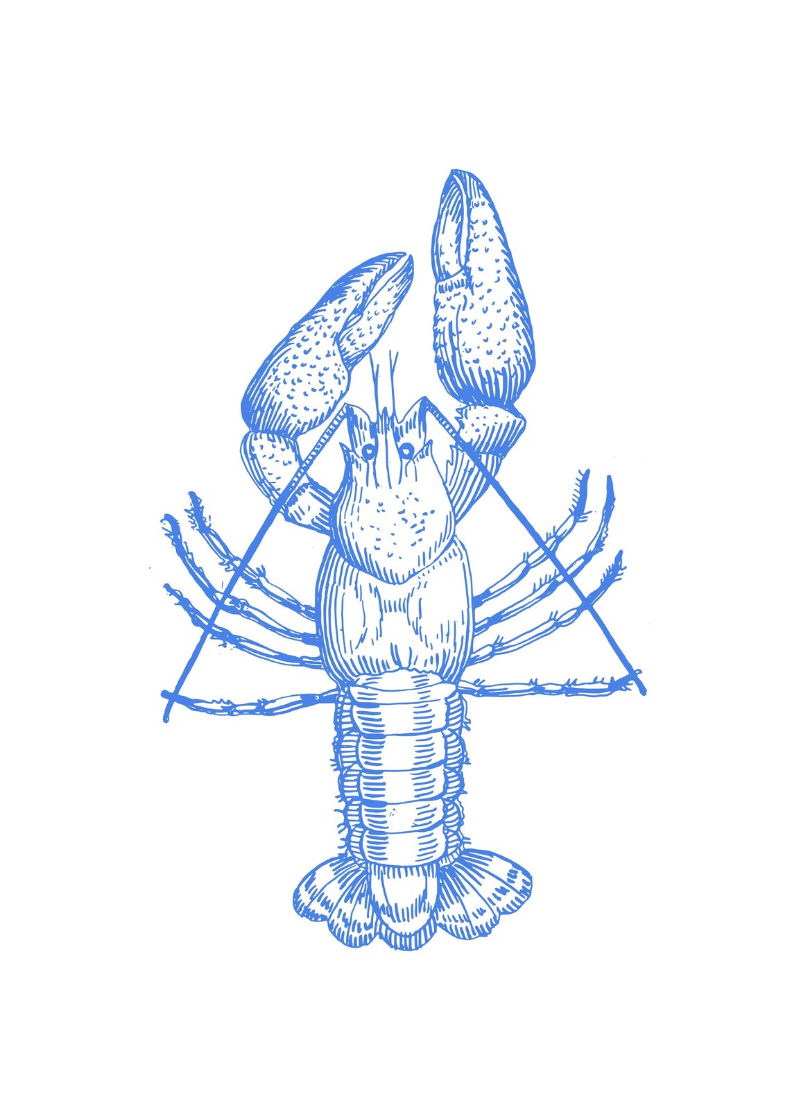 Blue Lobster Nautical Line Art Wall Art