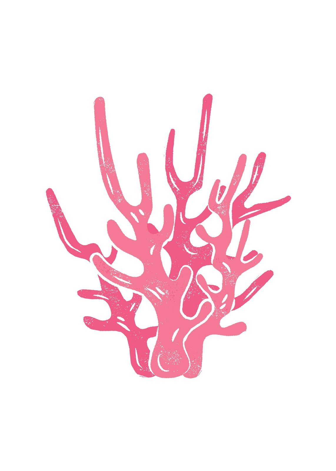 Vibrant Pink Coral Branch Wall Art