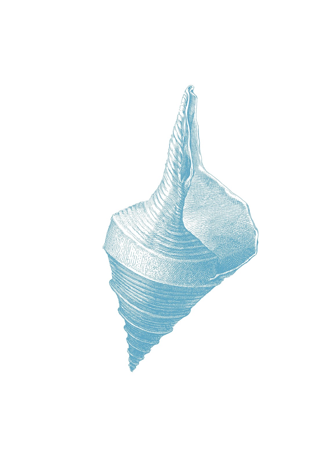 Elegant Sea Shell Vintage Blue Wall Art