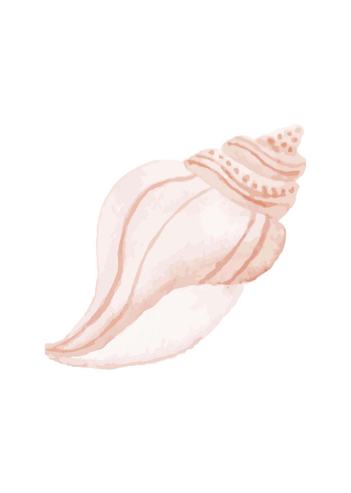 Serene Seashell Watercolor Wall Art