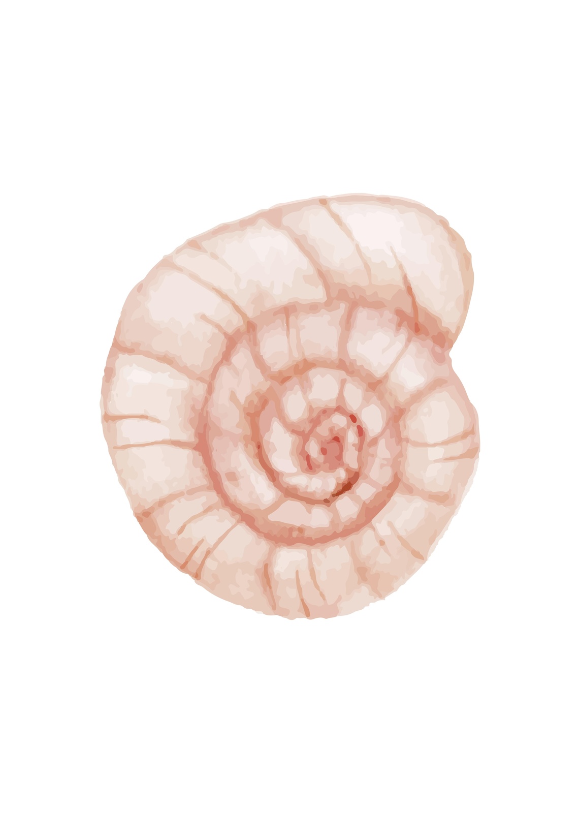 Serene Nautilus Shell Watercolor Wall Art