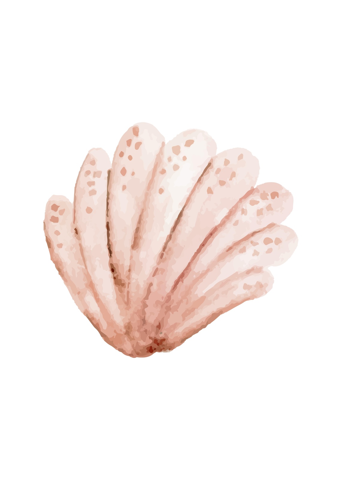 Coastal Blush Seashell Art Wall Art