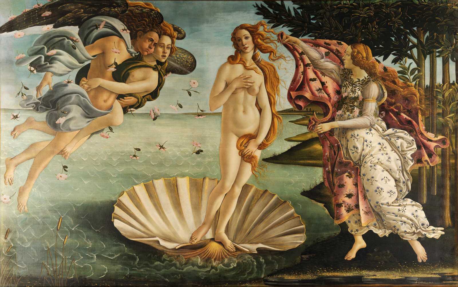Birth of Venus Botticelli Wall Art