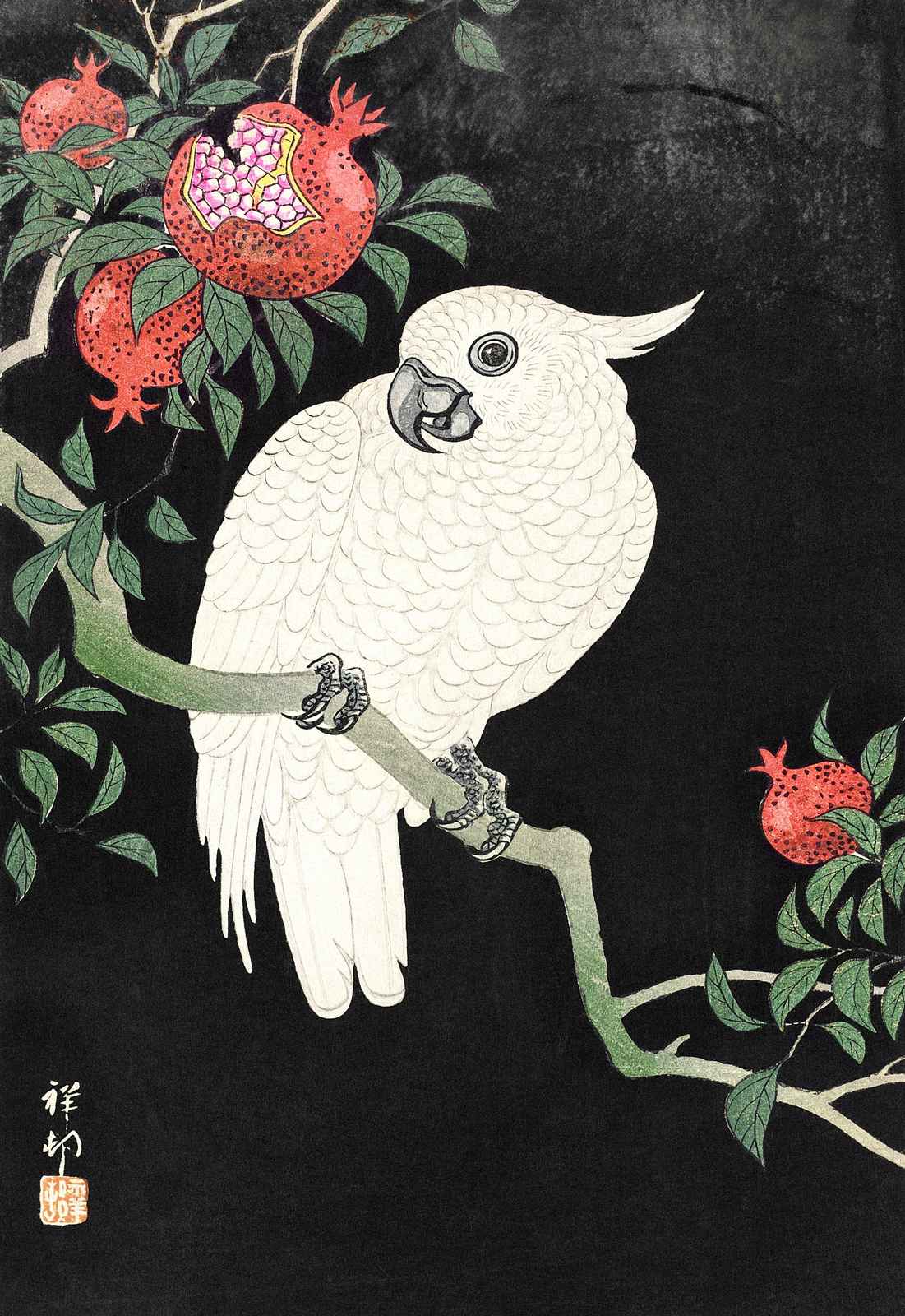 Elegant White Cockatoo & Pomegranate Wall Art