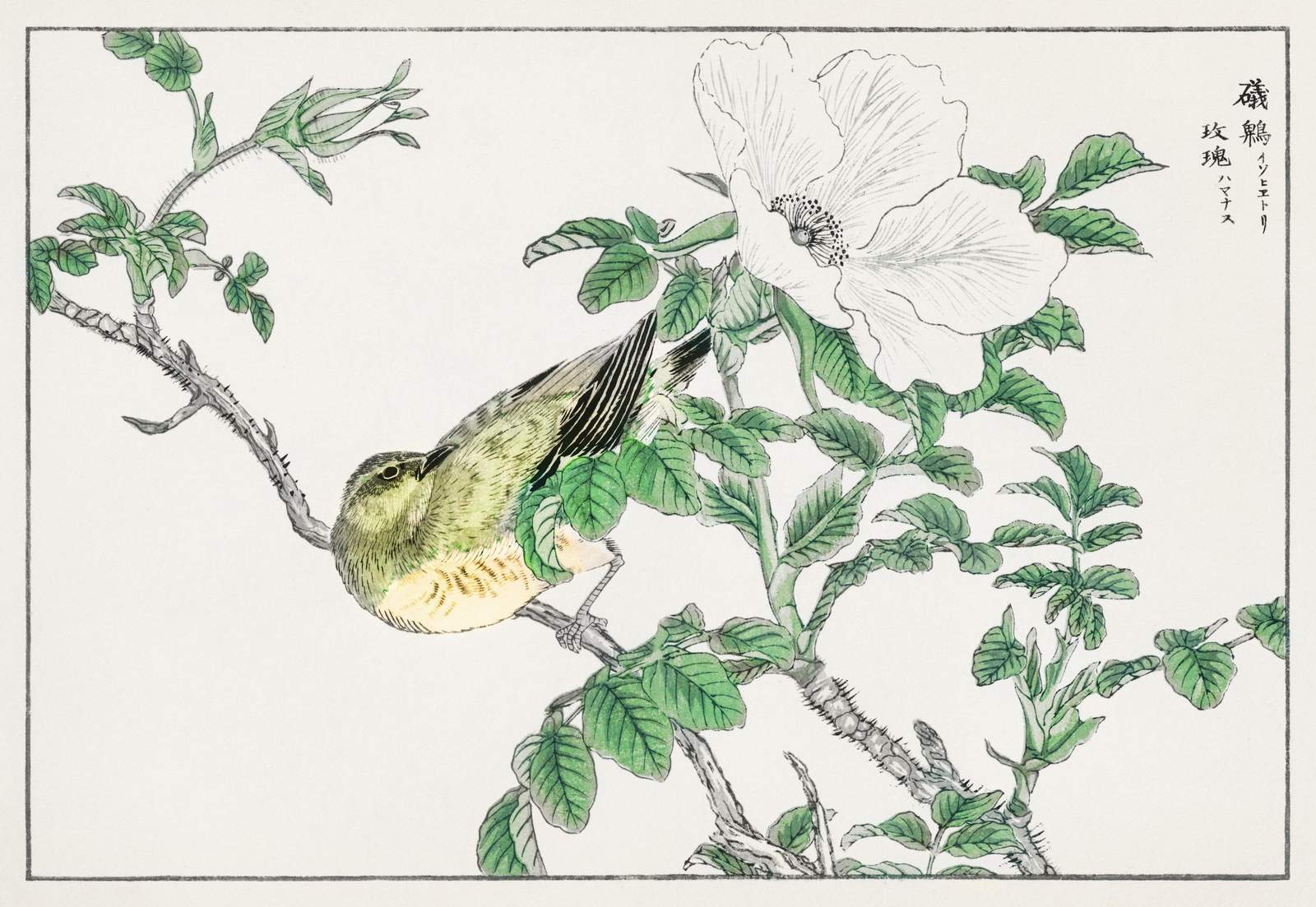 Serene Bird & Rose Japanese Art Wall Art