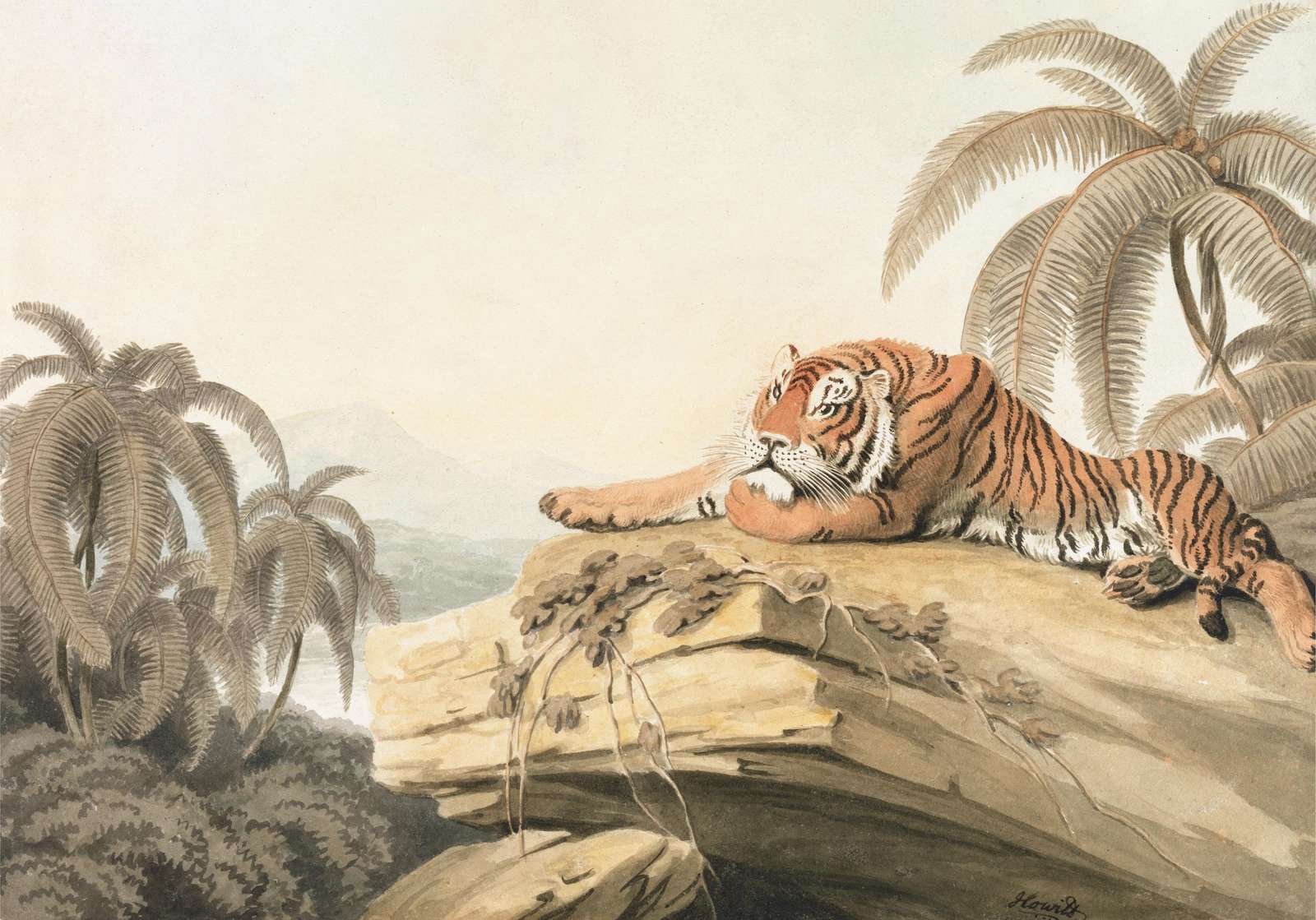 Majestic Tiger Tropical Jungle Wall Art