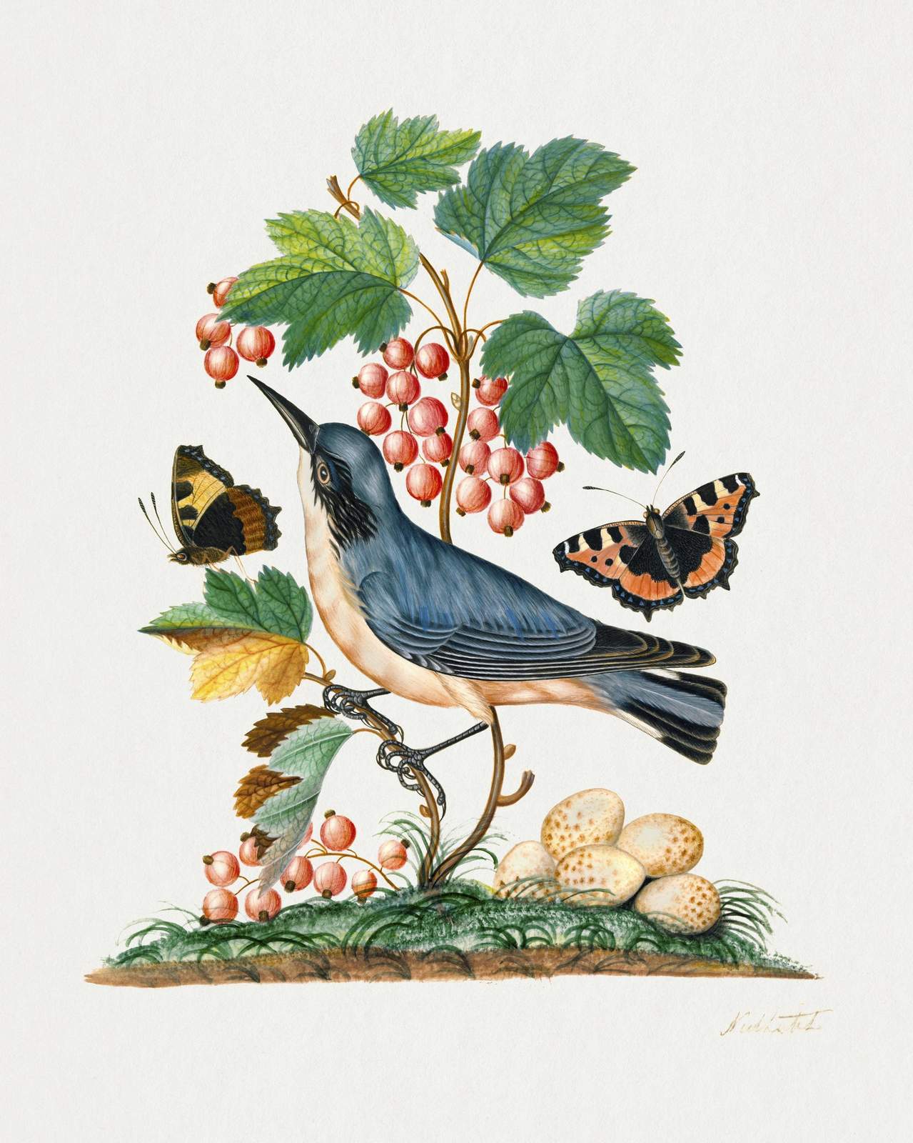 Vintage Bird & Butterfly Botanical Wall Art Wall Art
