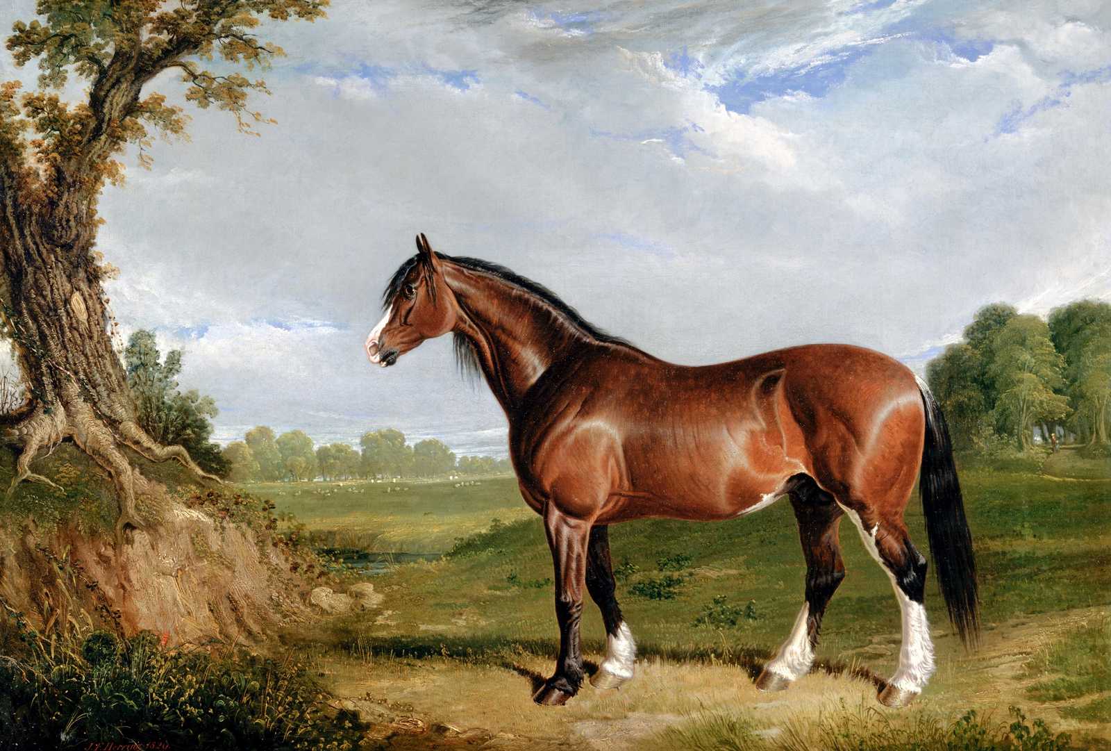 Majestic Bay Horse Landscape Wall Art