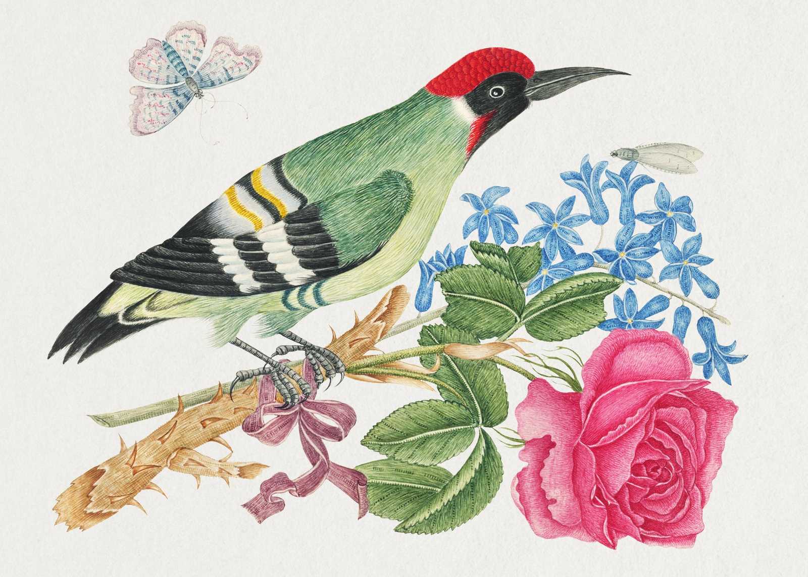 Vintage Green Woodpecker & Rose Wall Art