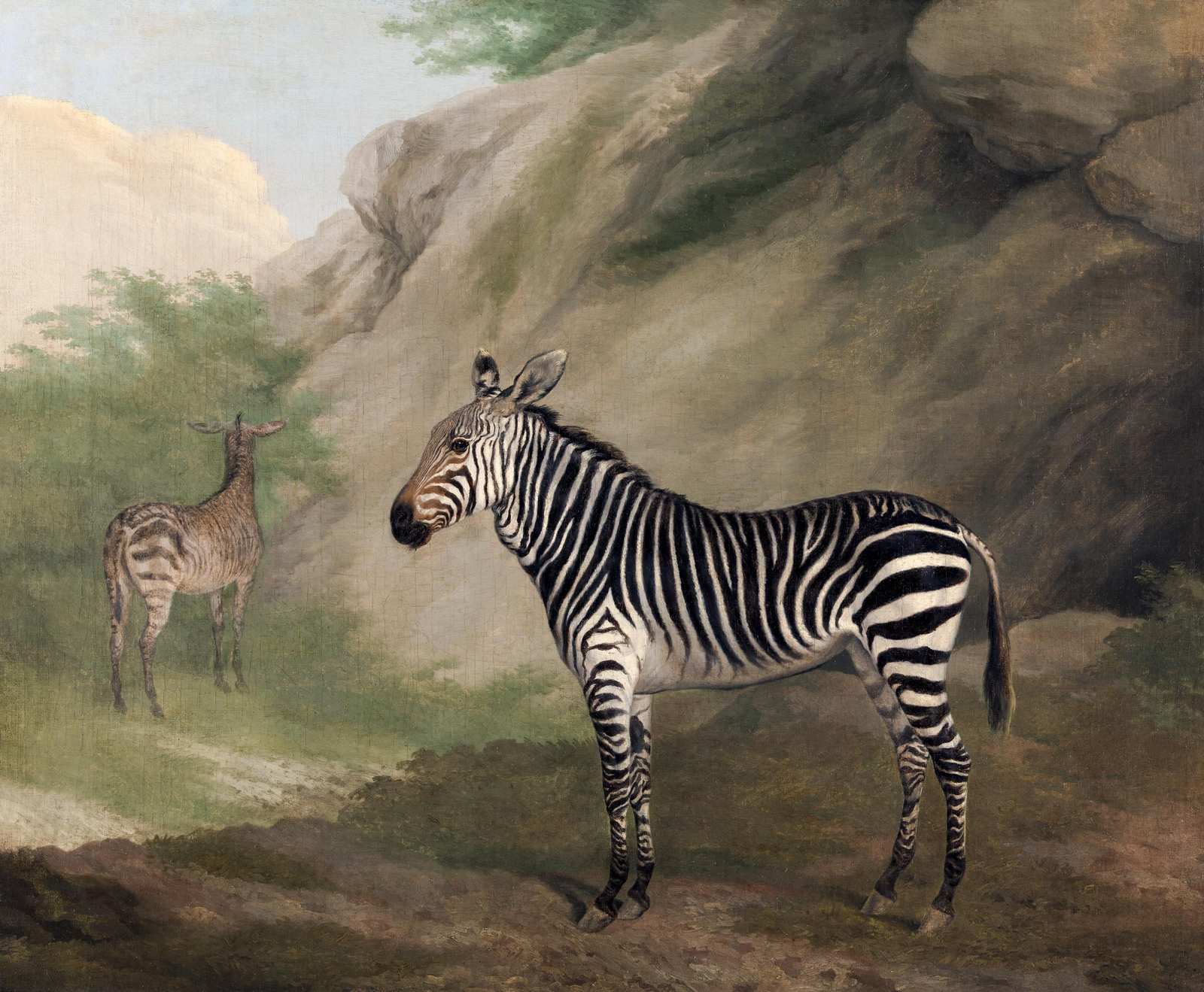 Majestic Zebras in Natural Habitat Wall Art