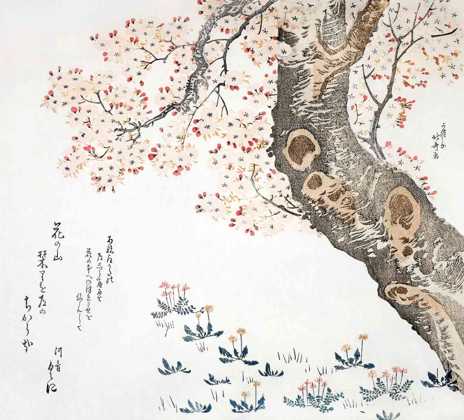 Japanese Cherry Blossom Tree Wall Art