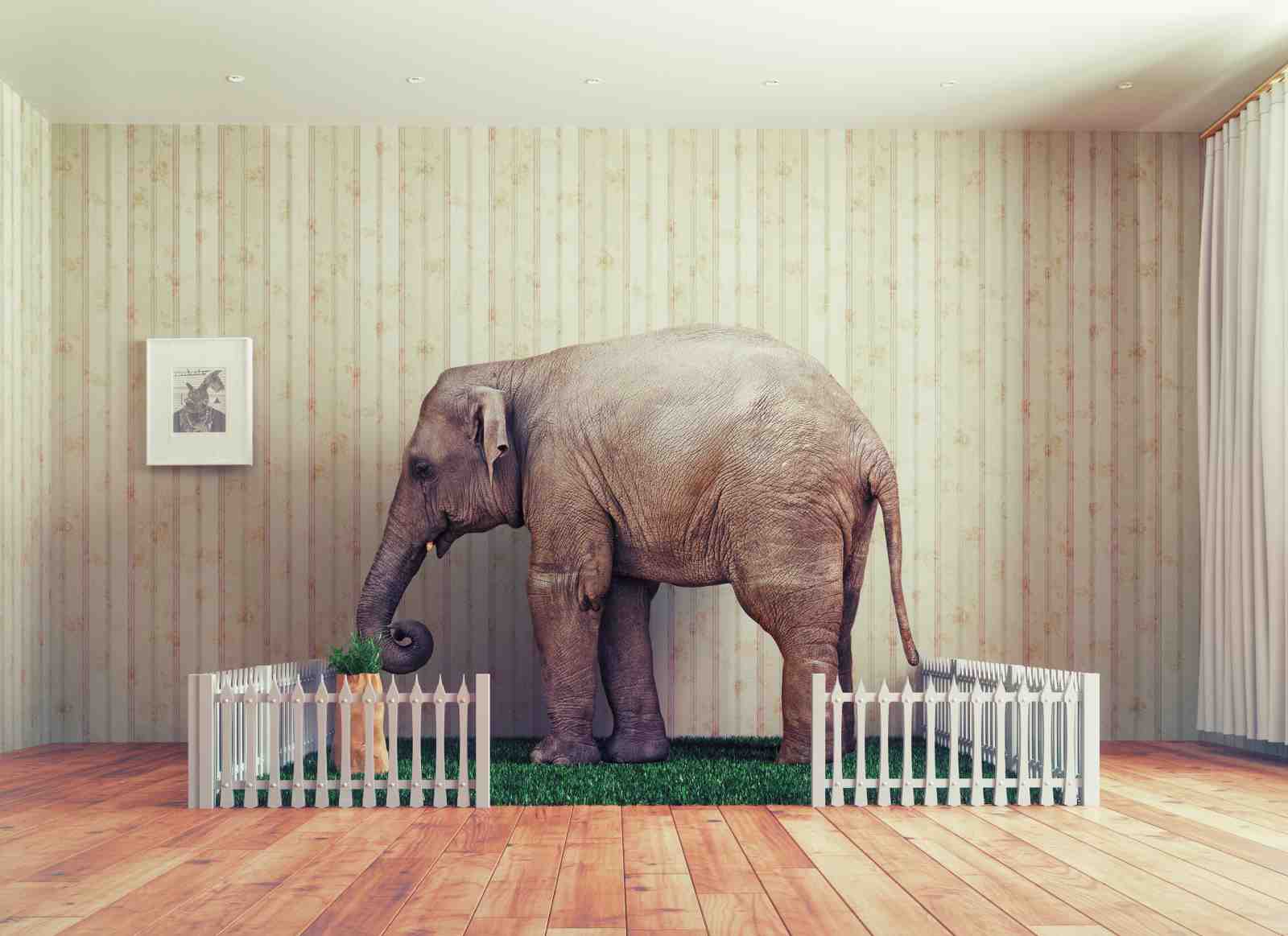 Whimsical Elephant in Vintage Room Wall Art