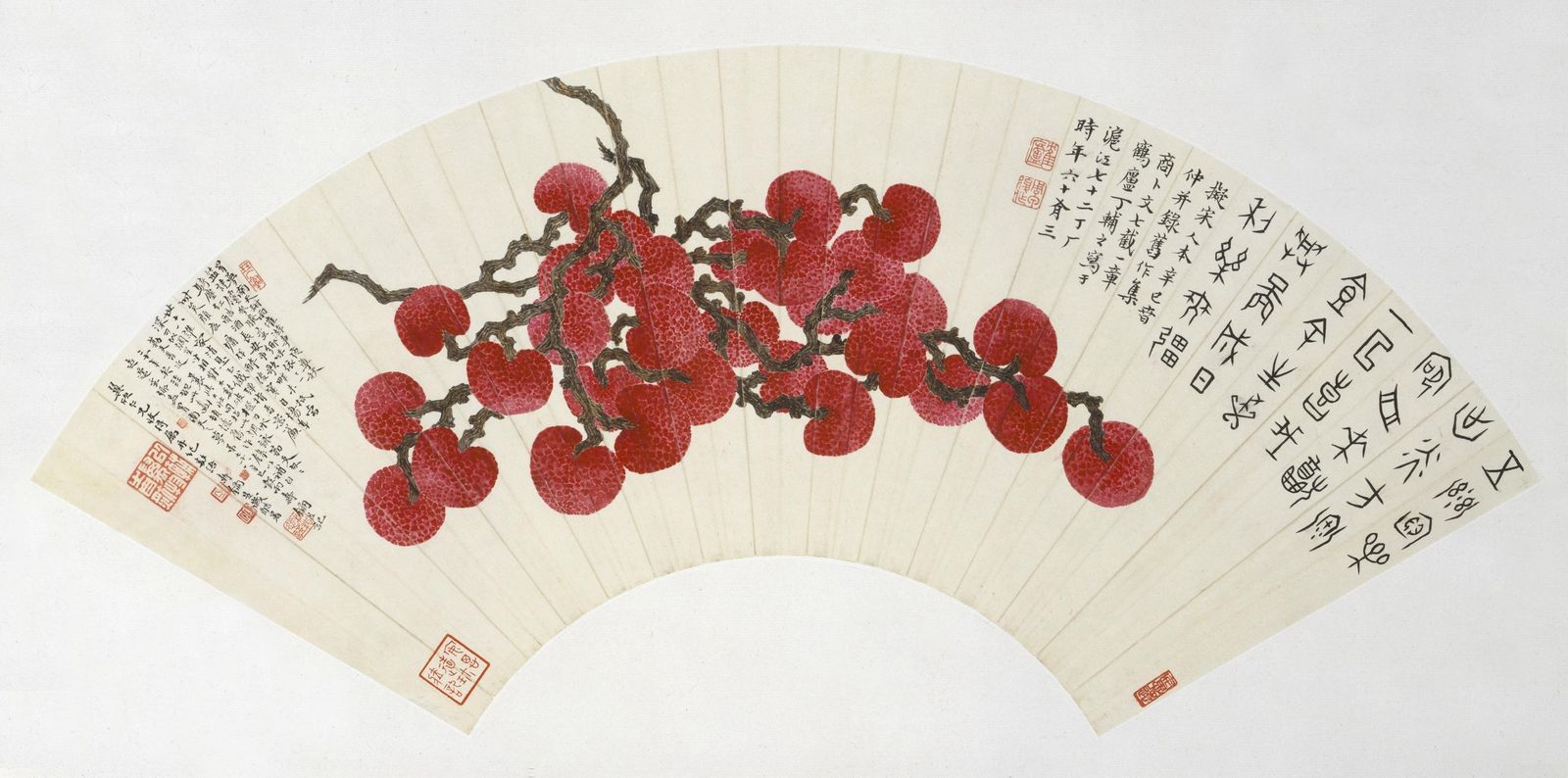 Vibrant Lychee Branch Fan Wall Art