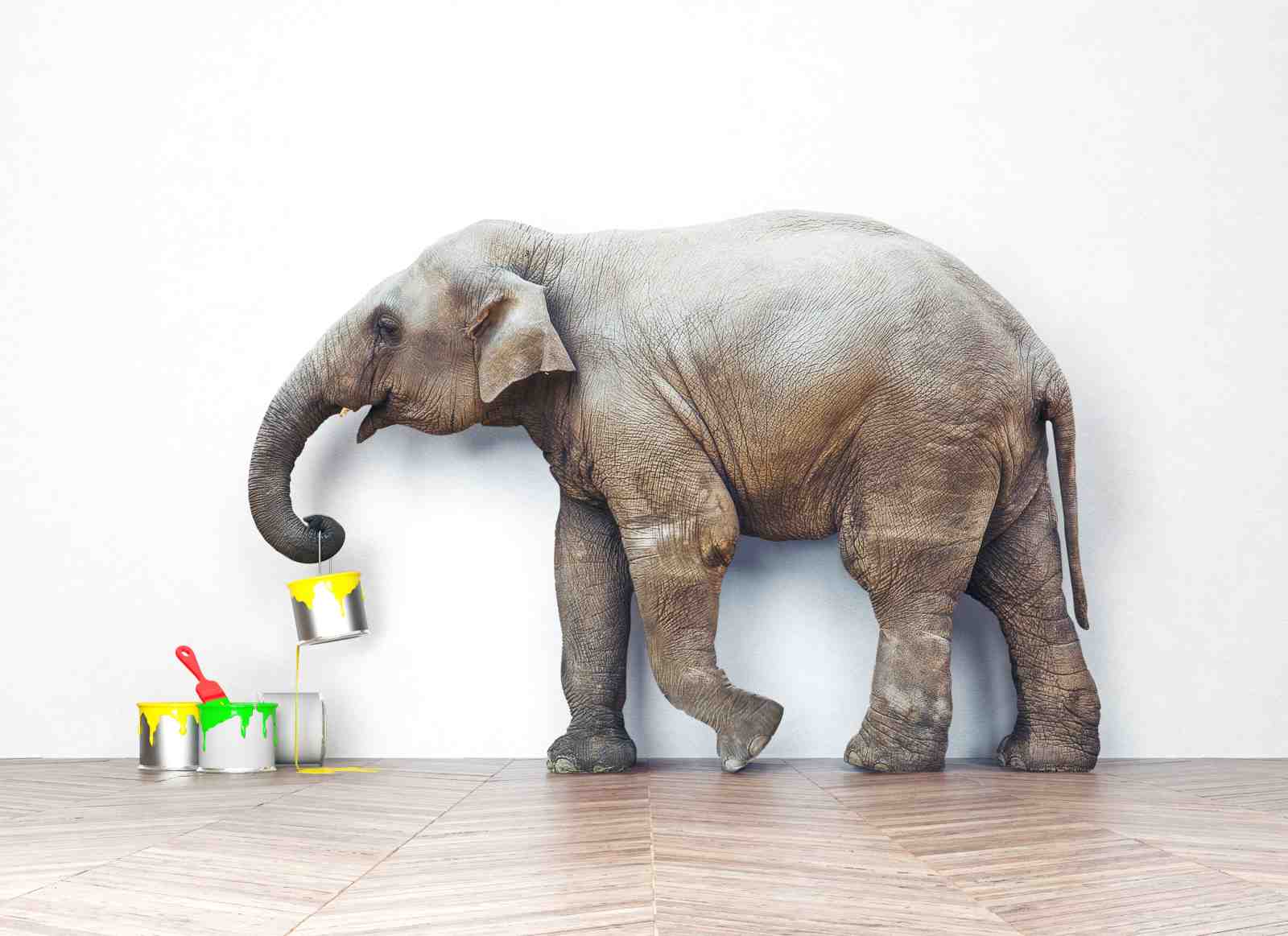 Playful Elephant Painting Yellow Wall Art