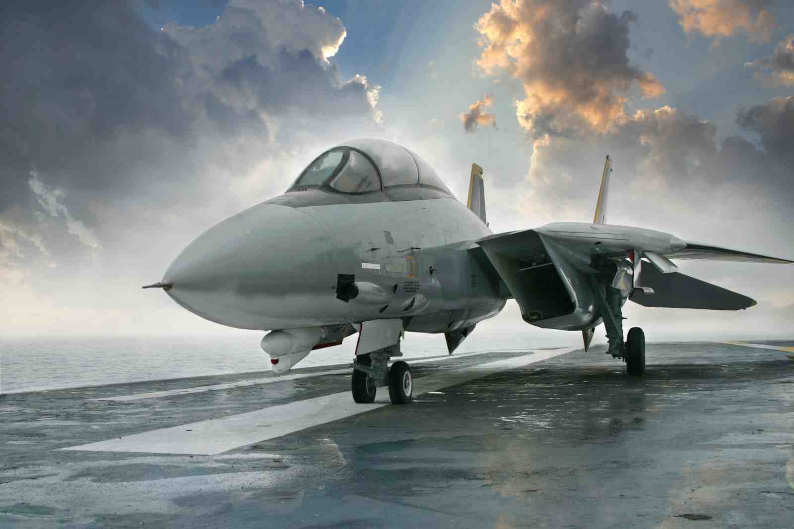 F-14 Tomcat Fighter Jet Wall Art