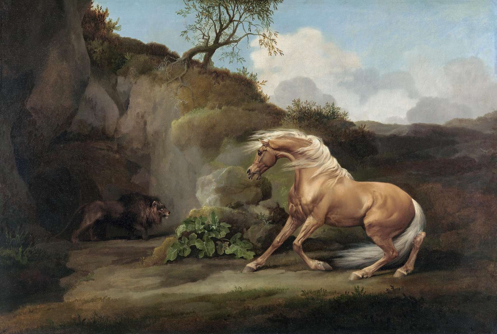Dramatic Horse & Lion Encounter Wall Art