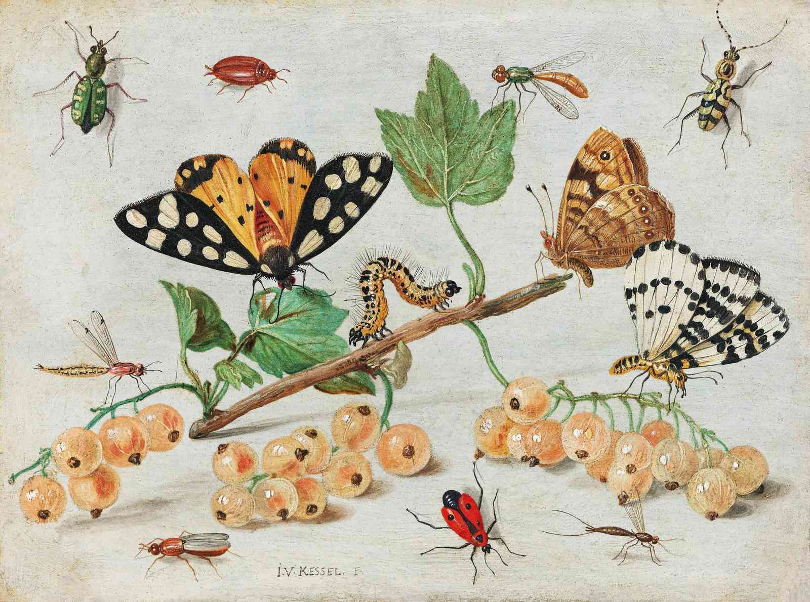 Vintage Insects & Berries Nature Art Wall Art