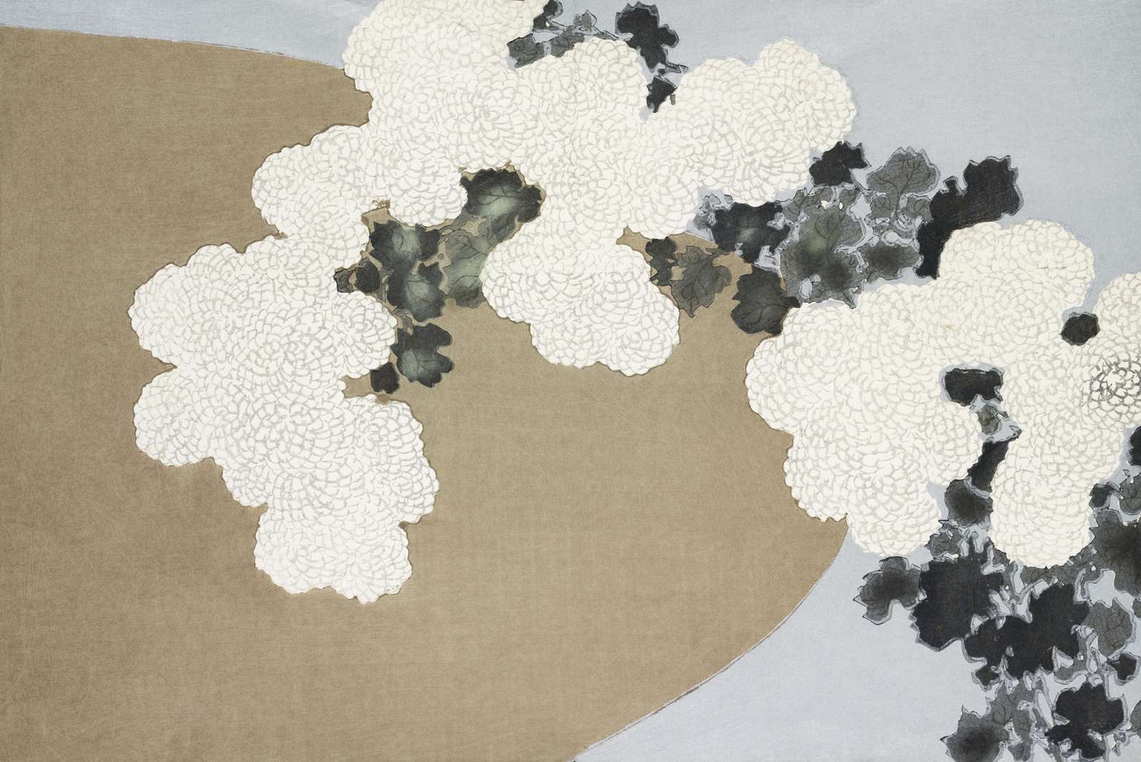 Elegant White Chrysanthemum Floral Wall Art