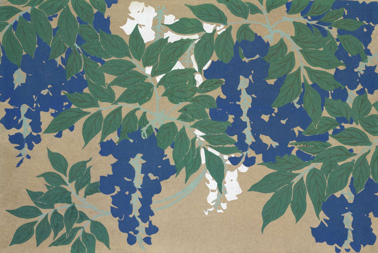 Blue Wisteria Botanical Art Wall Art