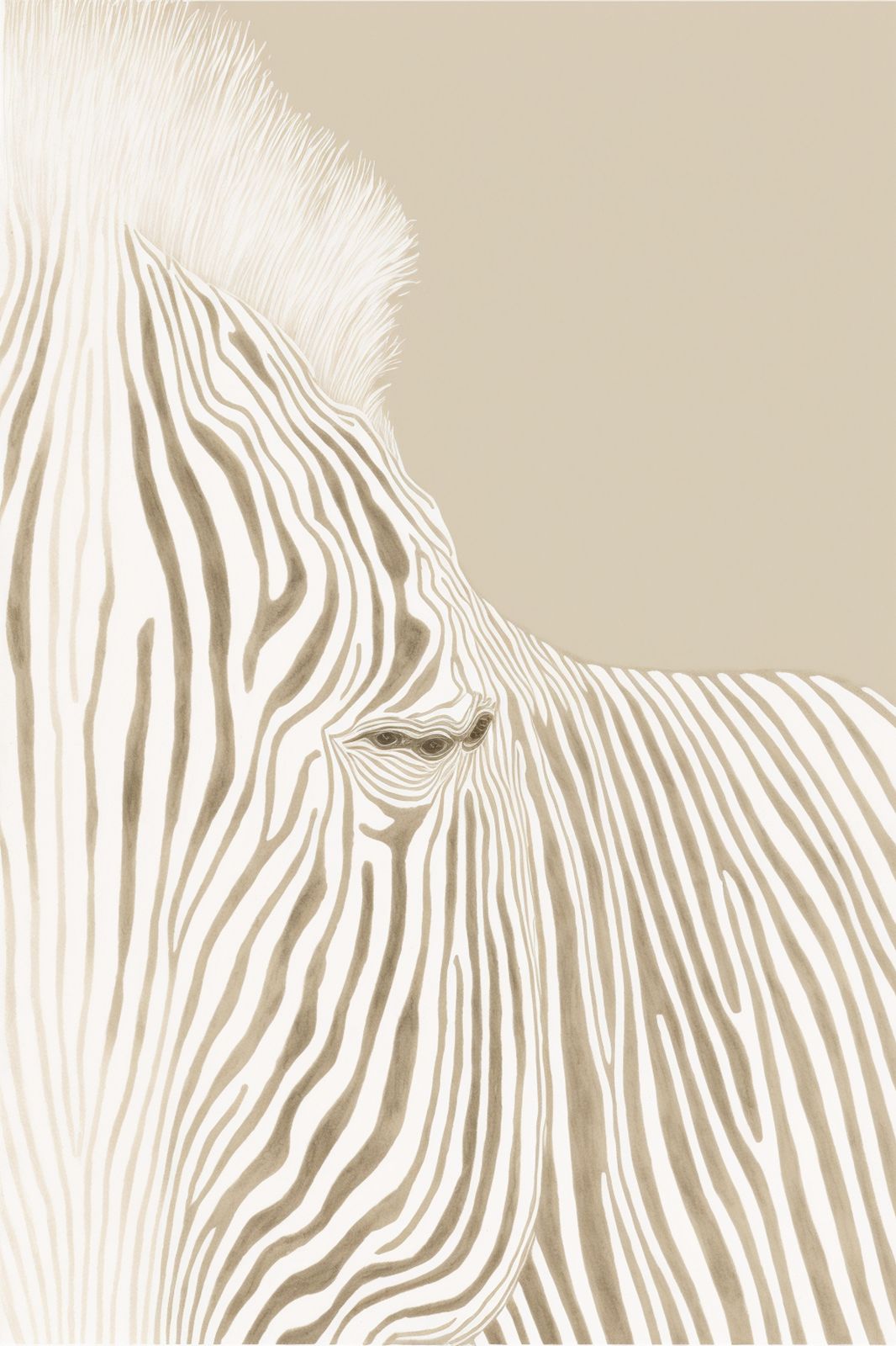 Elegant Zebra Close-Up Wall Art