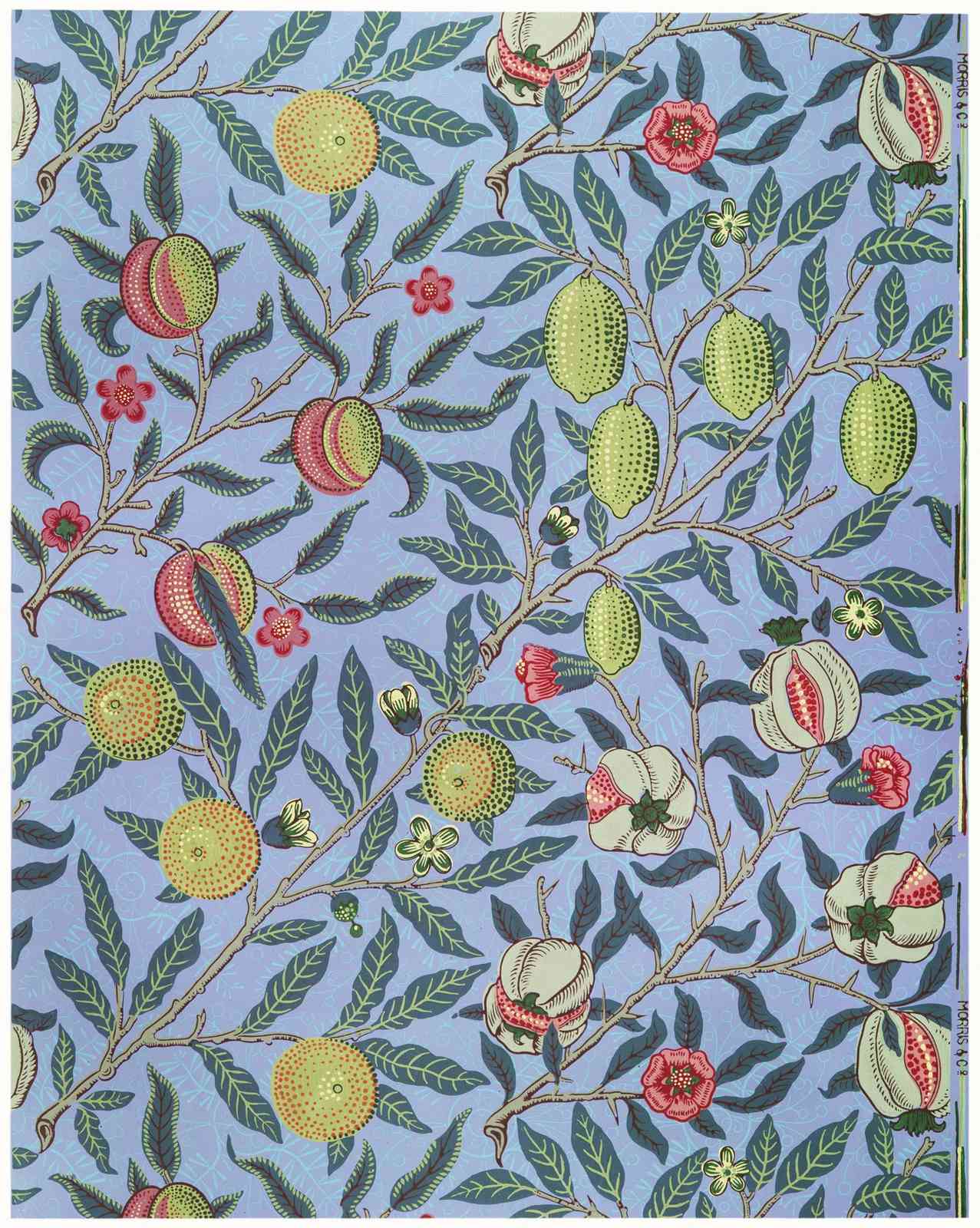 Vintage Fruit Blossom Wall Art