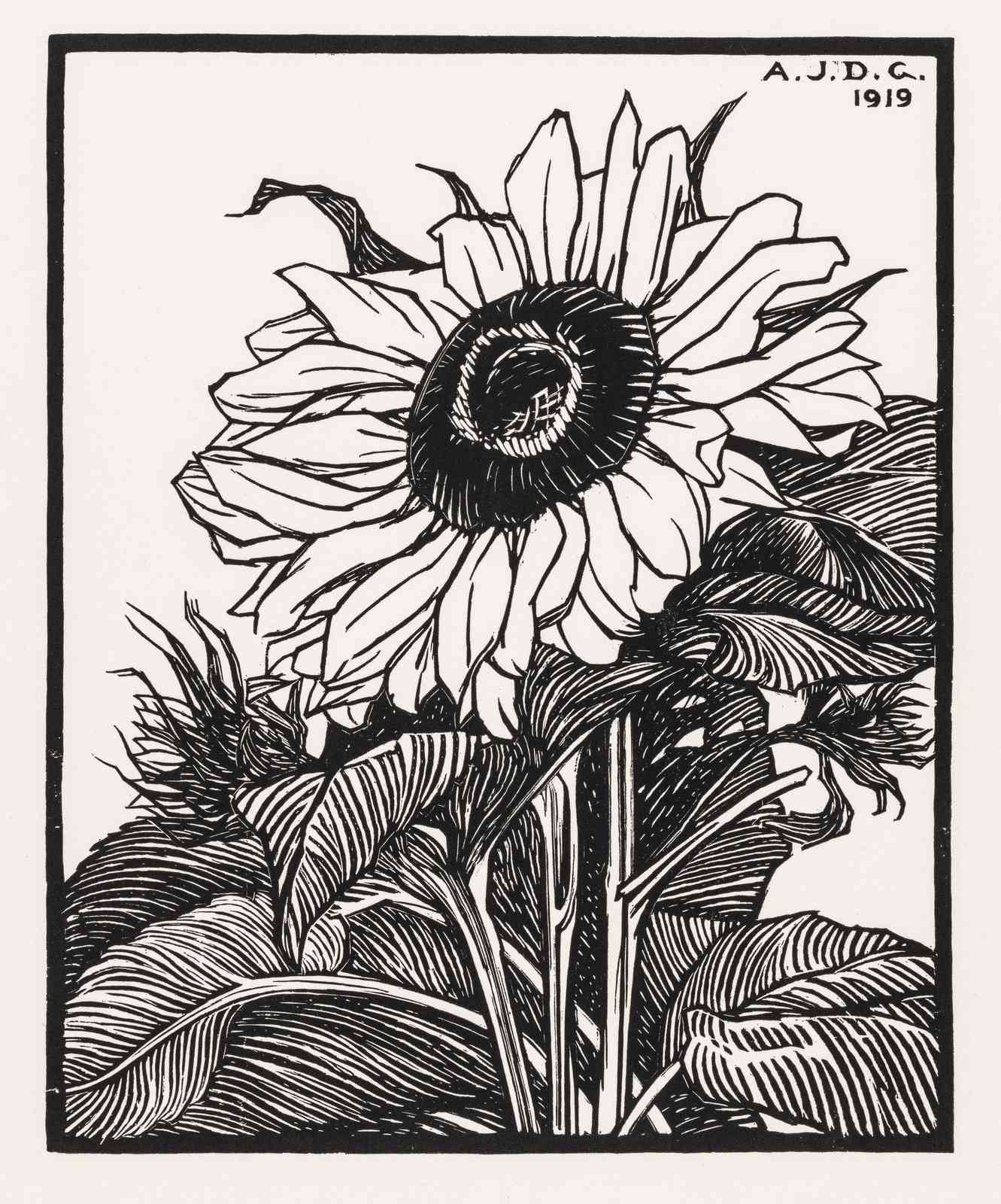 Vintage Sunflower Art | Black & White Botanical Wall Art