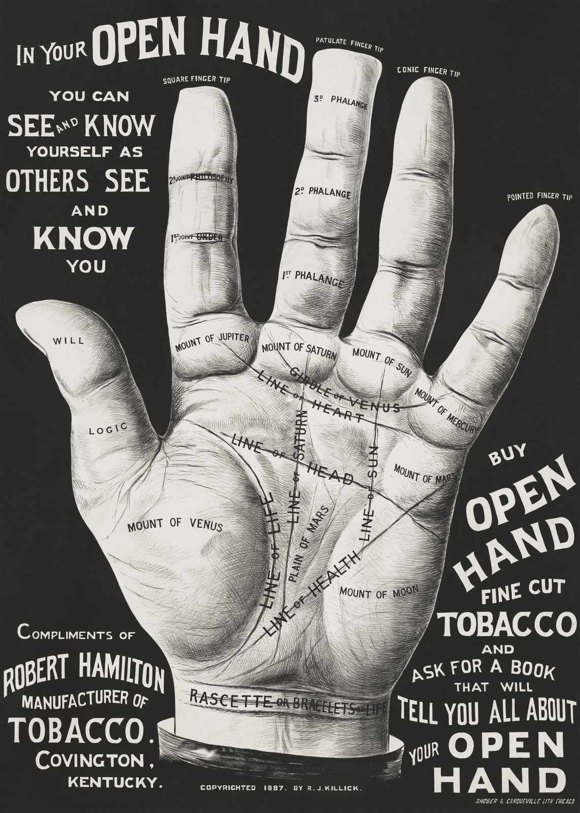 Vintage Palmistry 'Open Hand' Wall Art