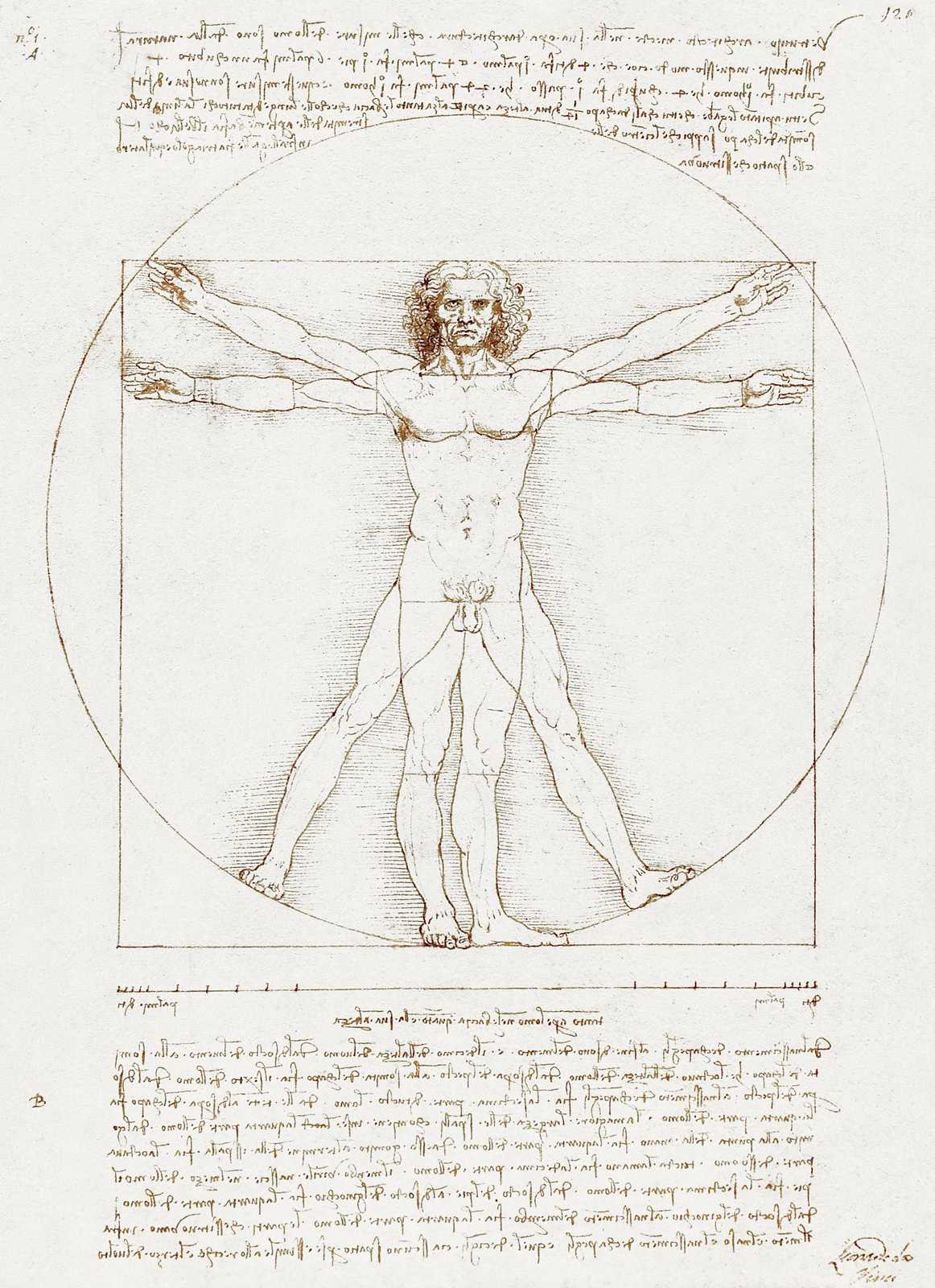 Vitruvian Man Leonardo Da Vinci Wall Art
