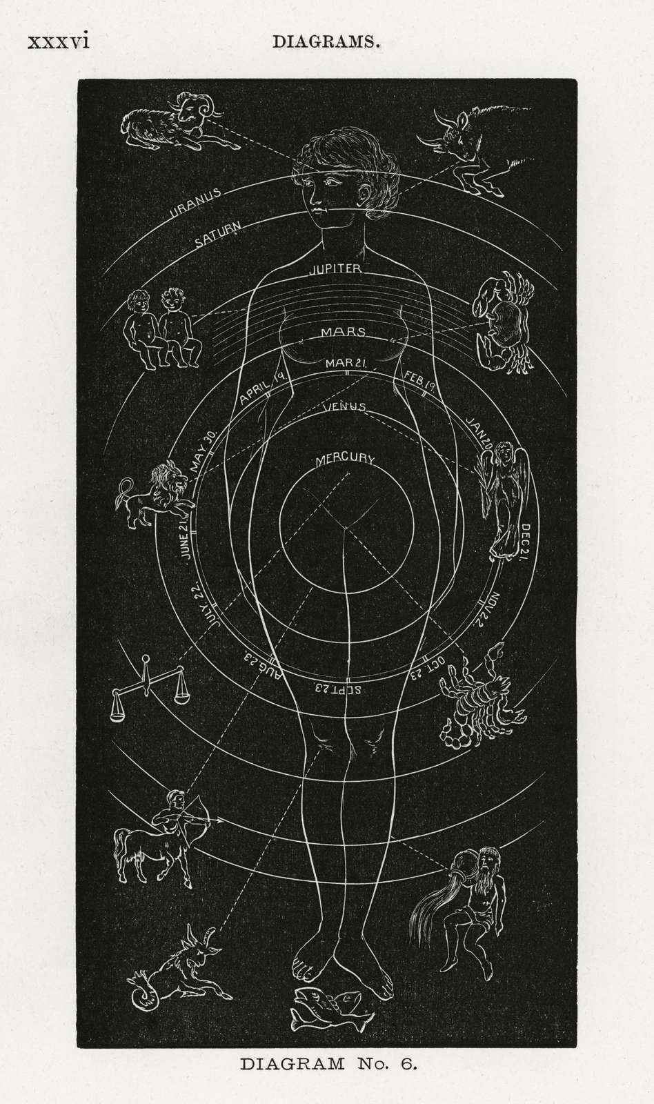 Vintage Astrology Zodiac Diagram Wall Art