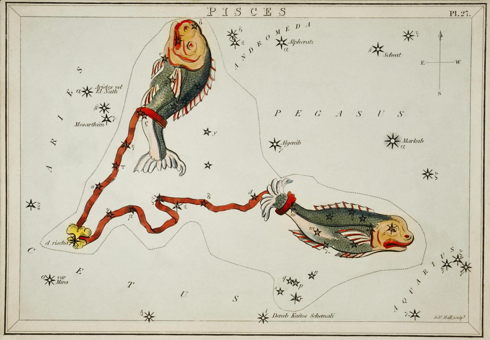 Vintage Pisces Constellation Wall Art