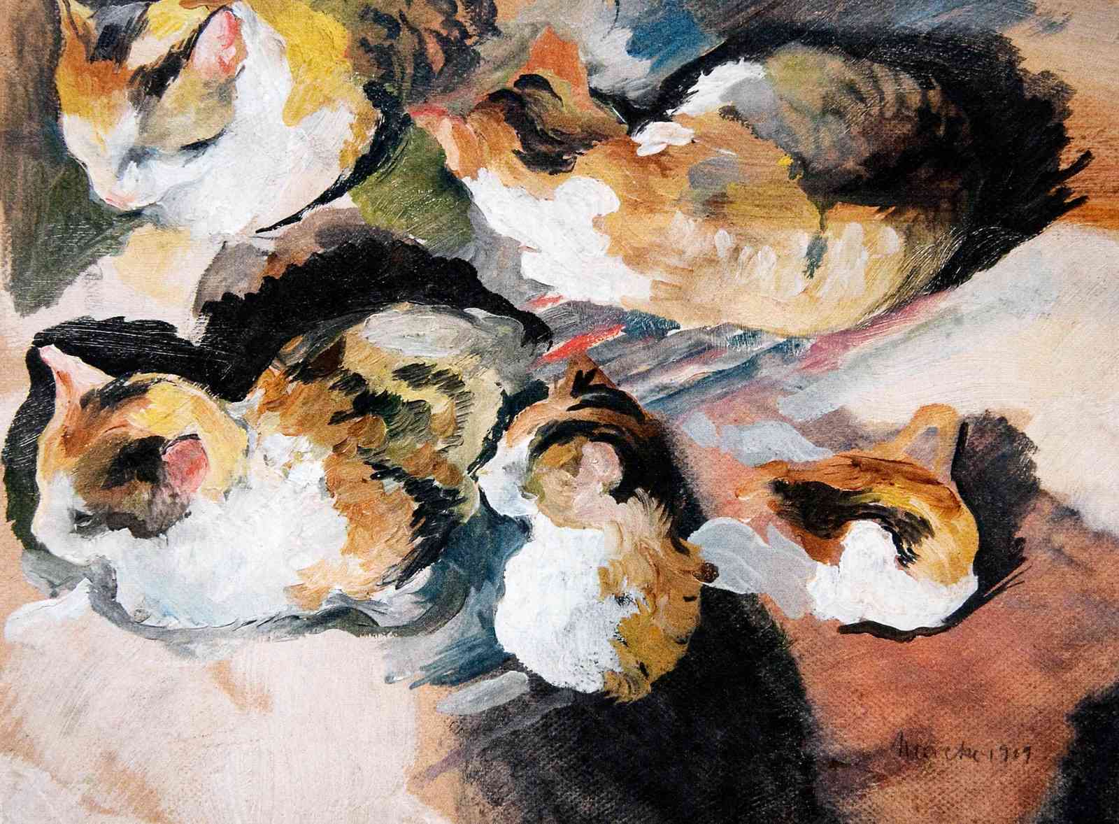 Calico Cats Naptime Art Wall Art
