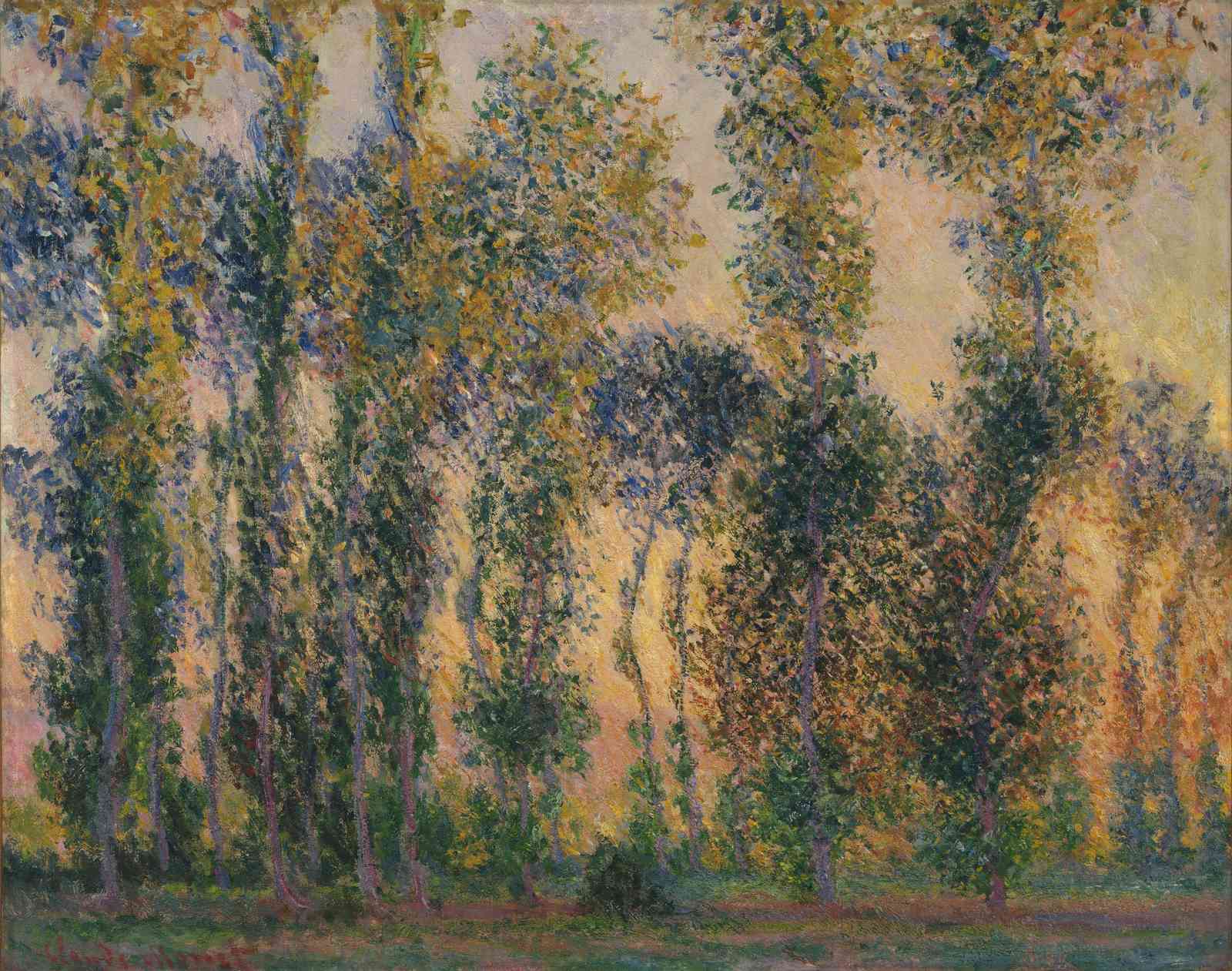 Monet's Aspen Trees Wall Art - Impressionist Nature Art