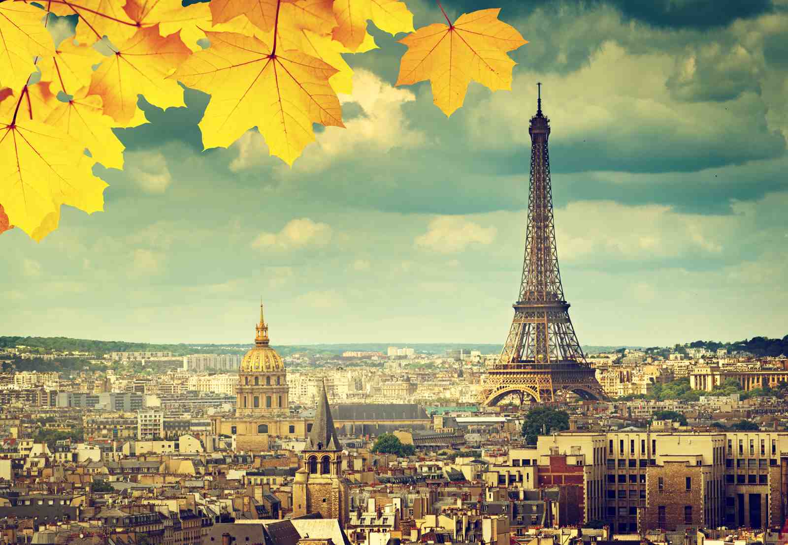 Parisian Autumn Eiffel Tower Wall Art