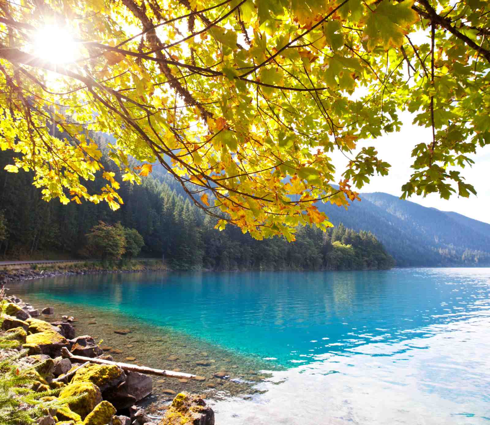 Golden Autumn Lake Serenity Wall Art