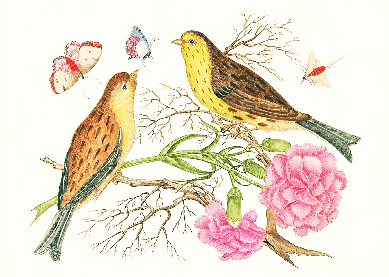 Vintage Birds & Butterflies Wall Art
