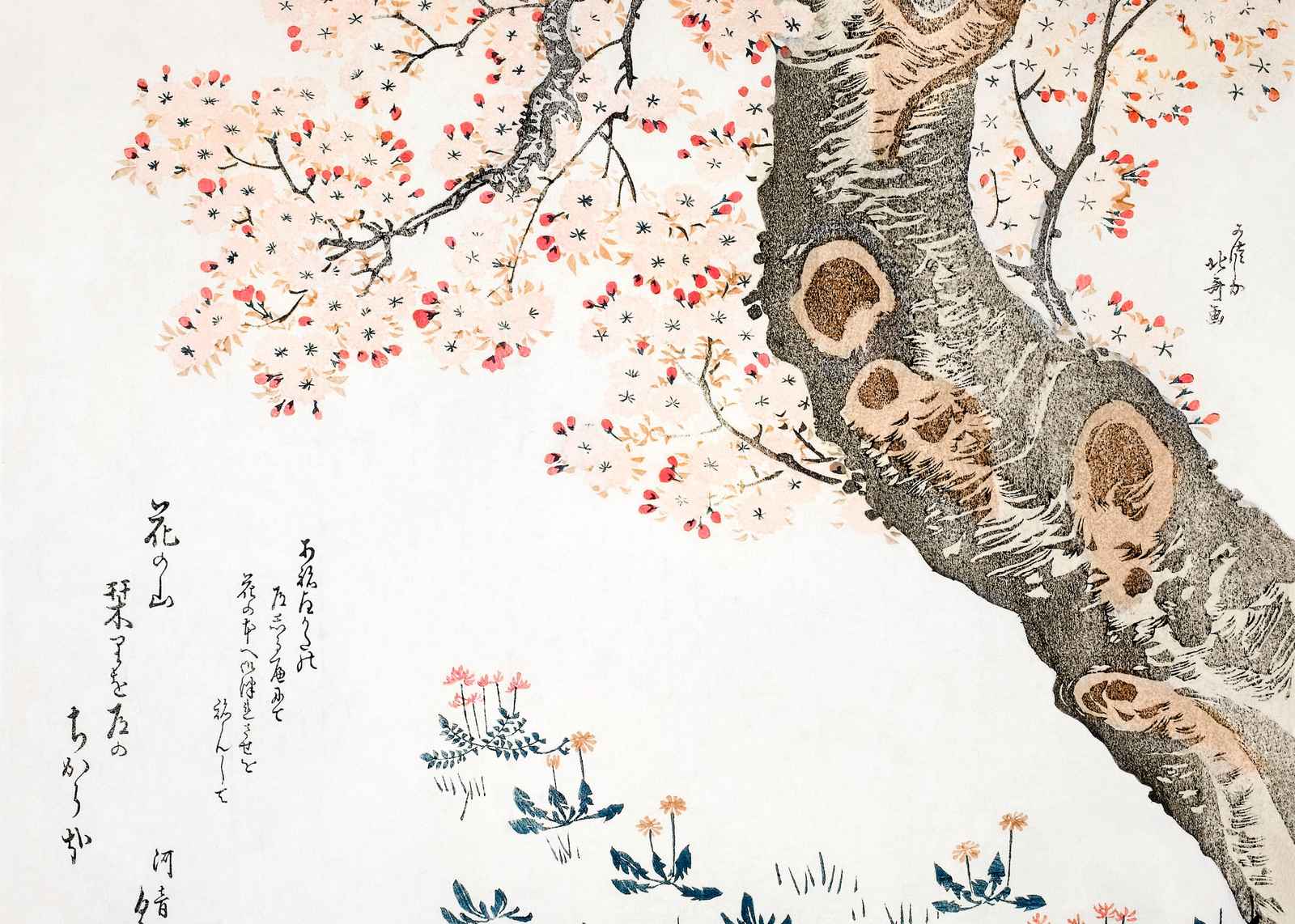 Japanese Cherry Blossom Tree Wall Art