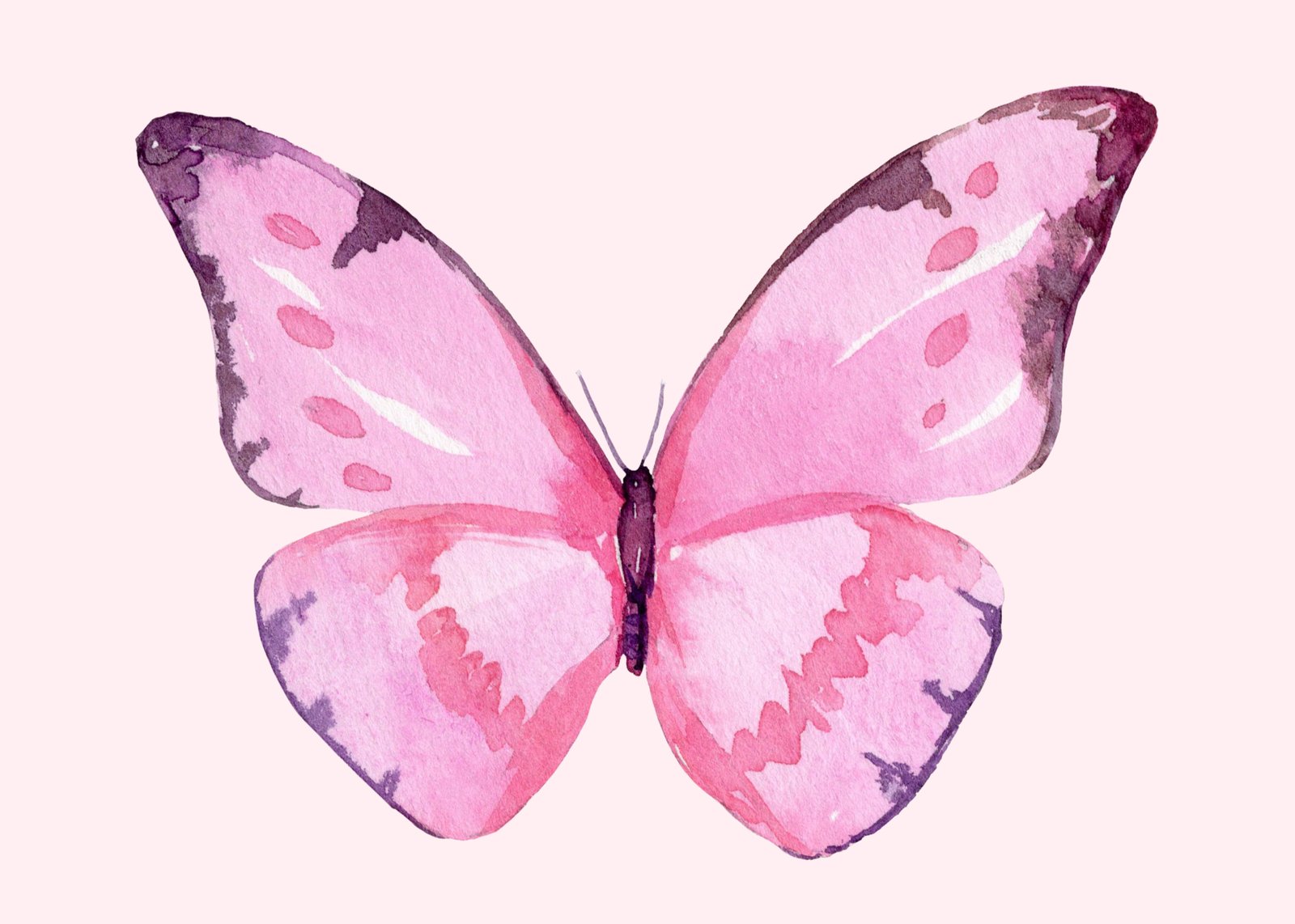 Delicate Pink Watercolor Butterfly Wall Art