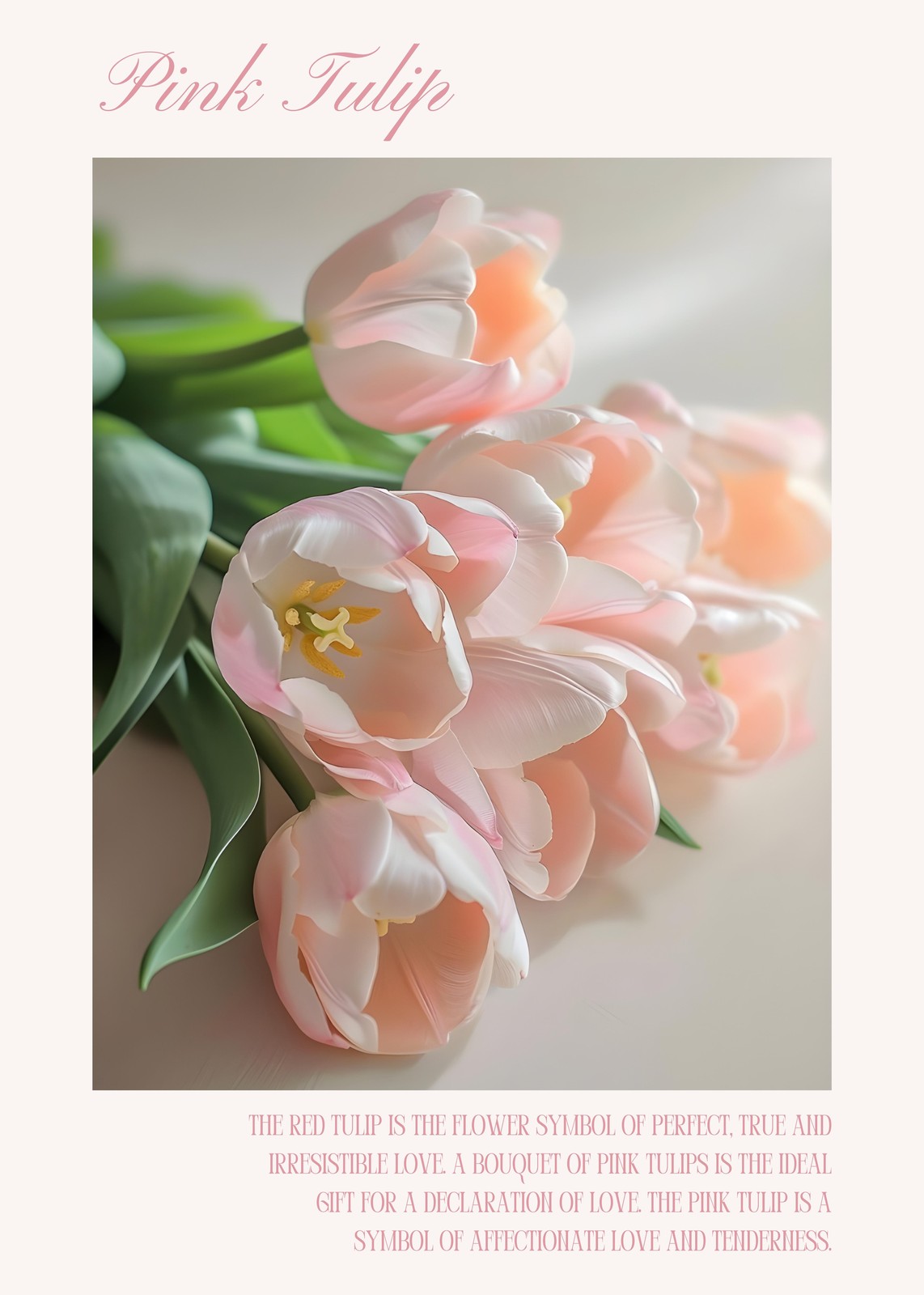 Soft Pink Tulips Still Life Wall Art