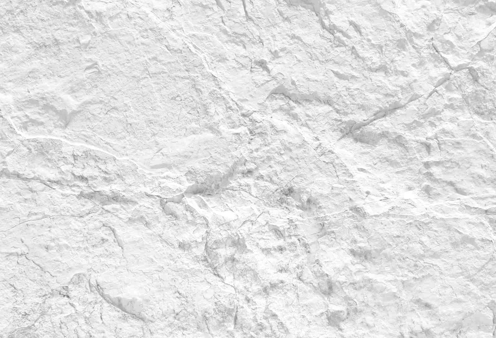 Textured White Rock Surface Wall Art