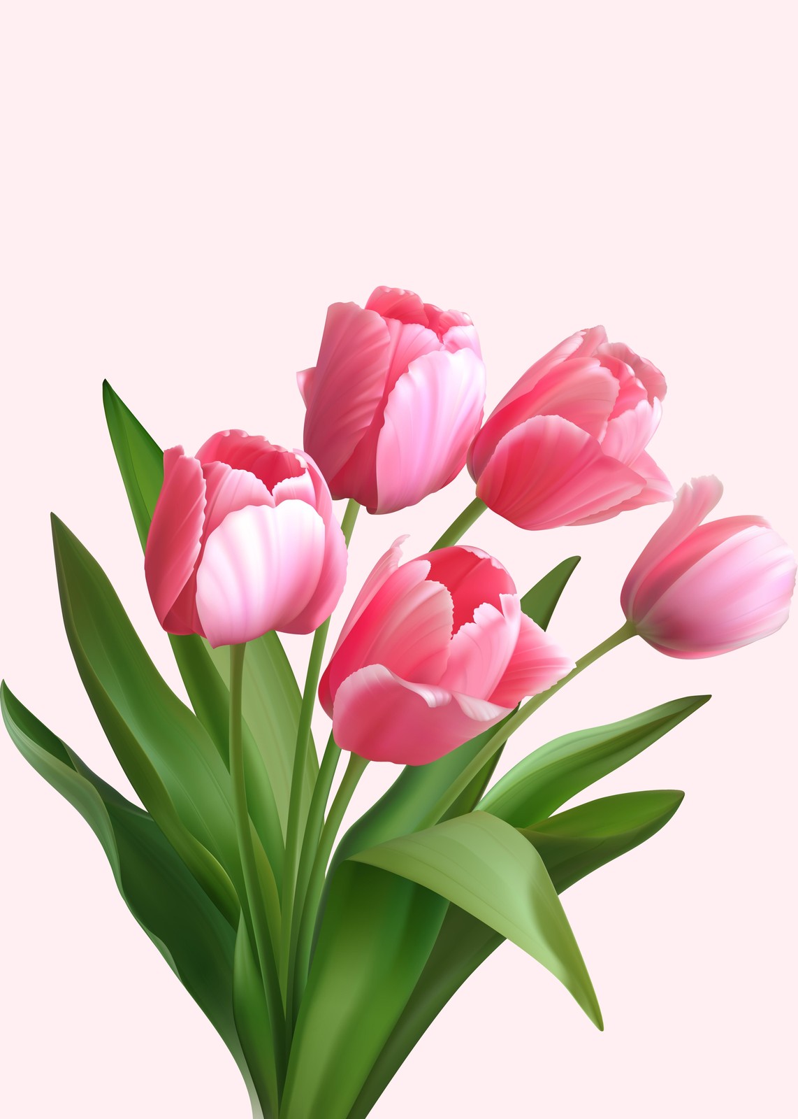 Vibrant Pink Tulips Wall Art Wall Art